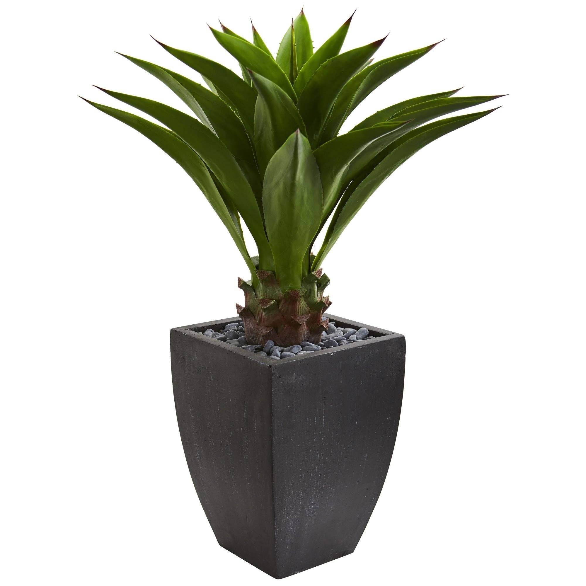  3' Agave Artificial Plant in Black Planter 