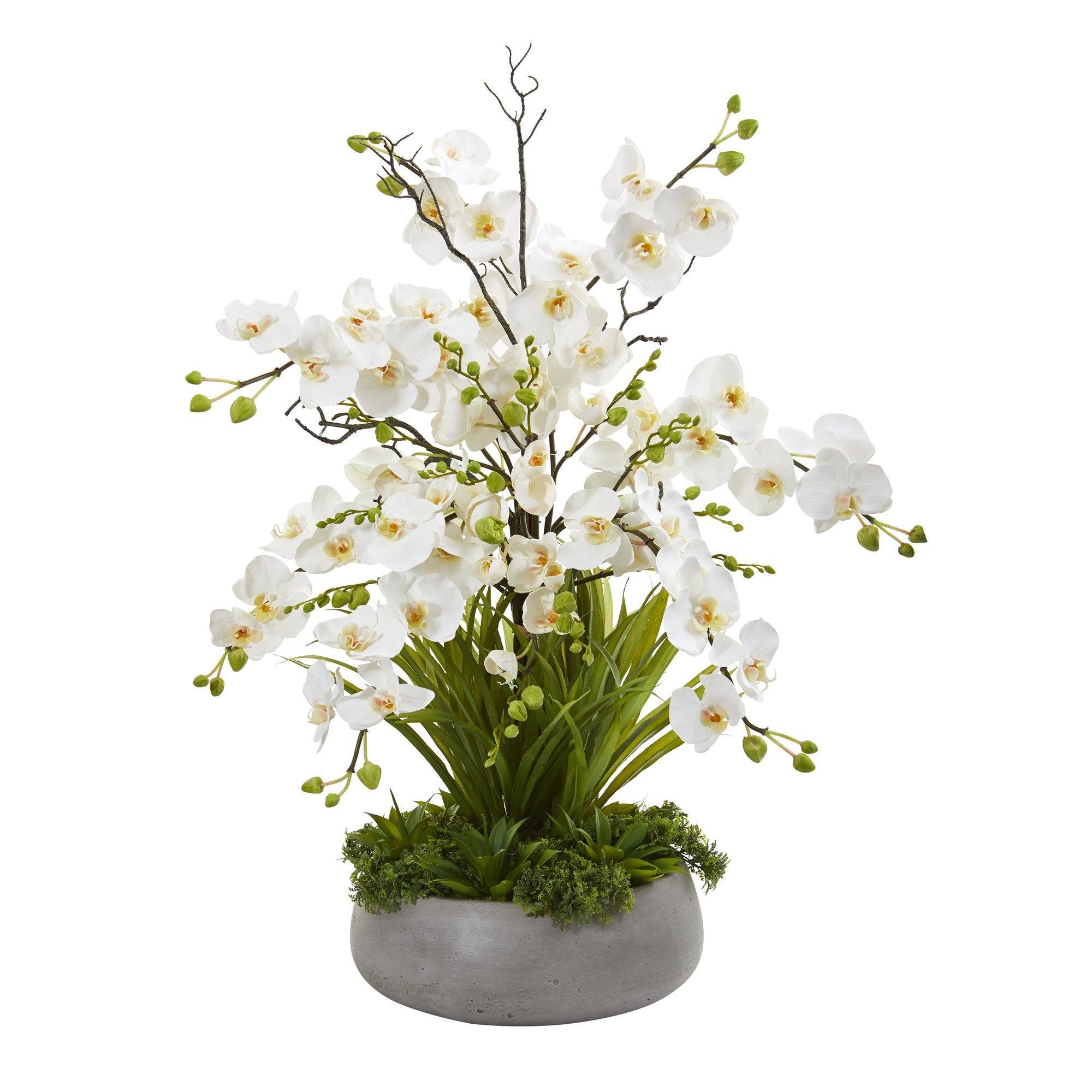  3’ Phalaenopsis Orchid and Agave Artificial Arrangement in Gray Vase 