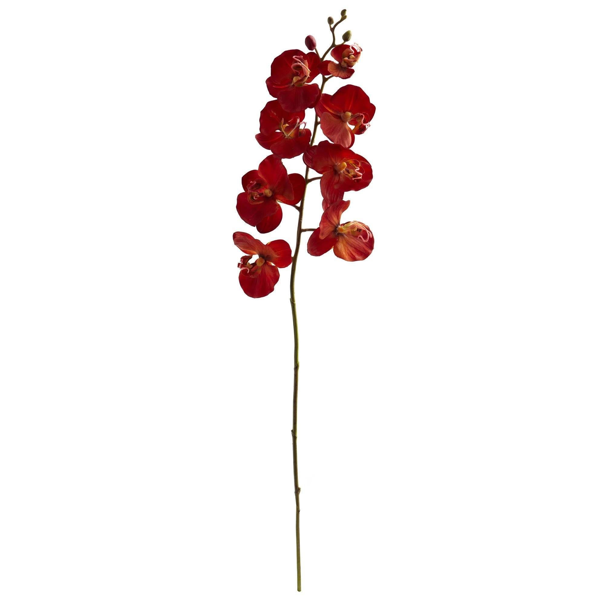  30” Autumn Phalaenopsis Artificial Flower (Set of 6) 