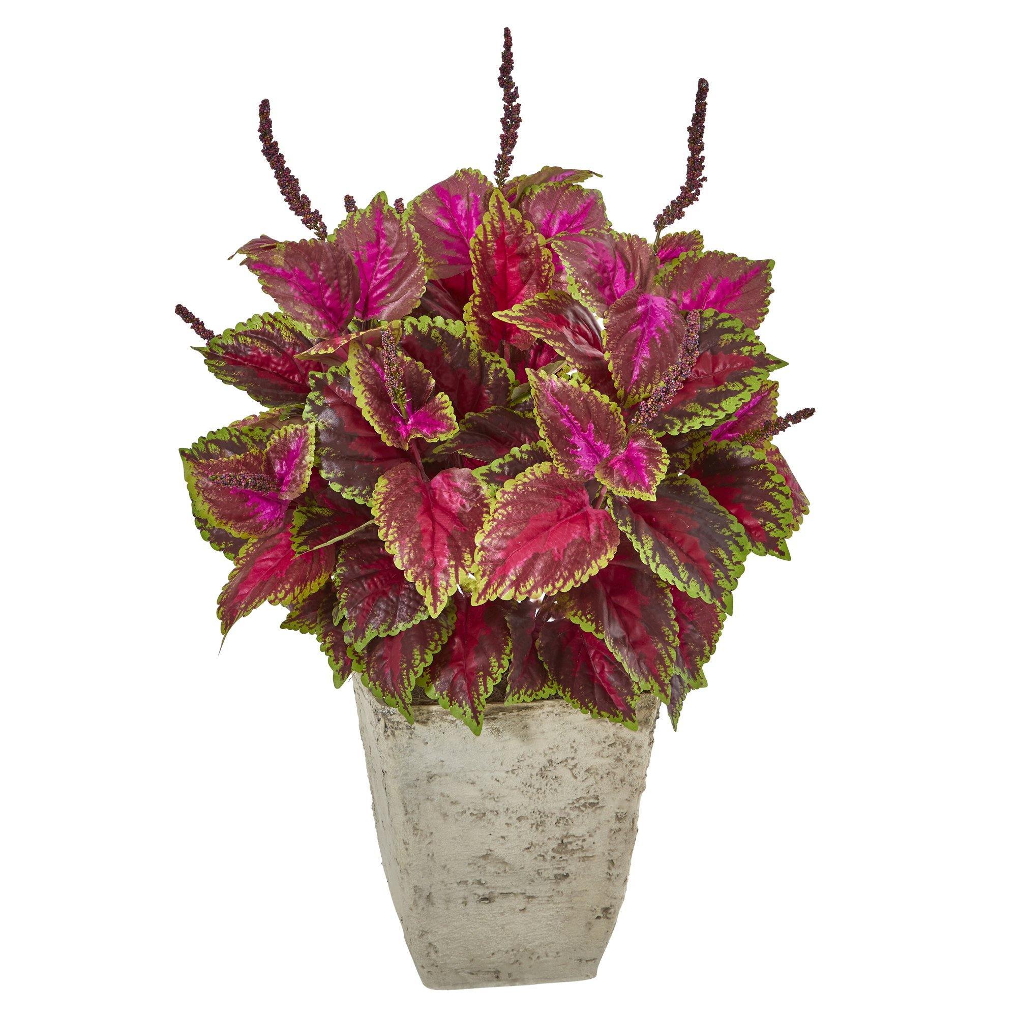 34” Coleus Artificial Plant in Country White Planter | Nearly Natural