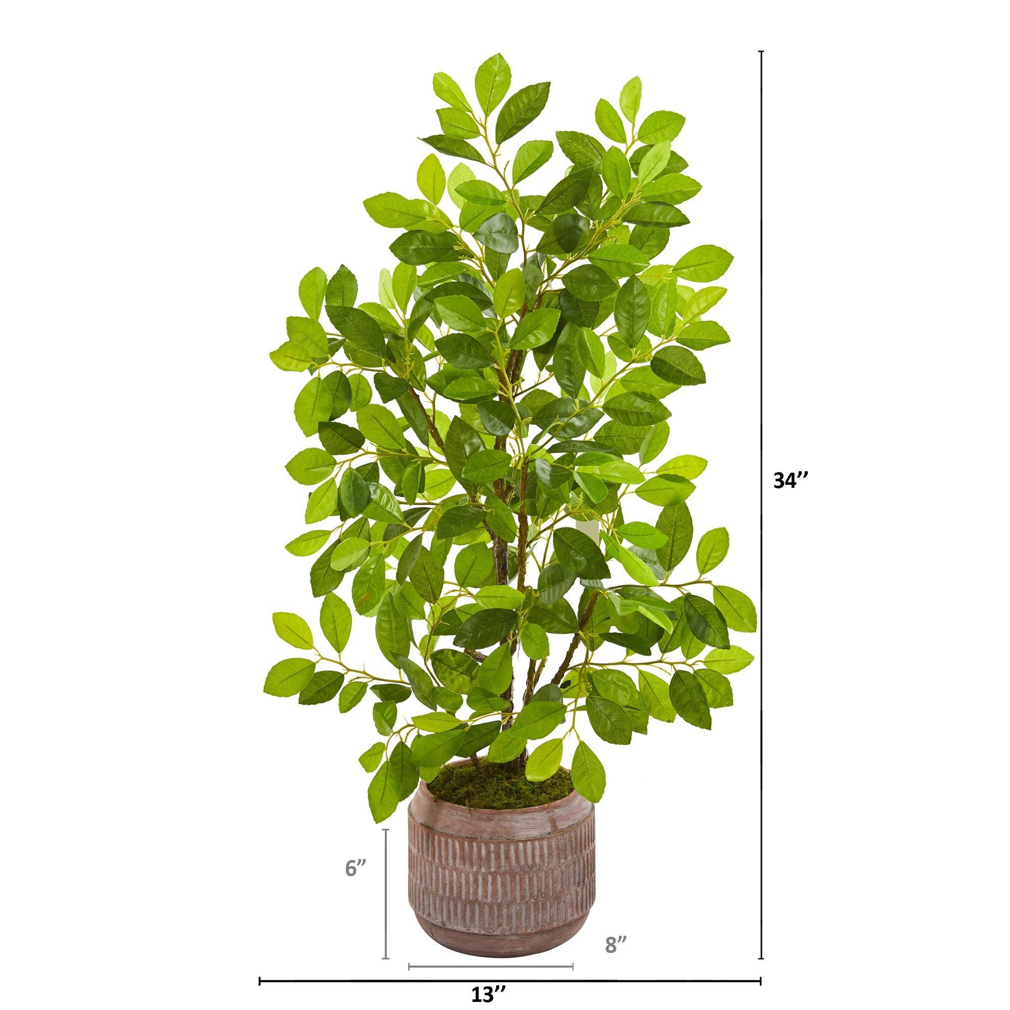 artificial ficus tree