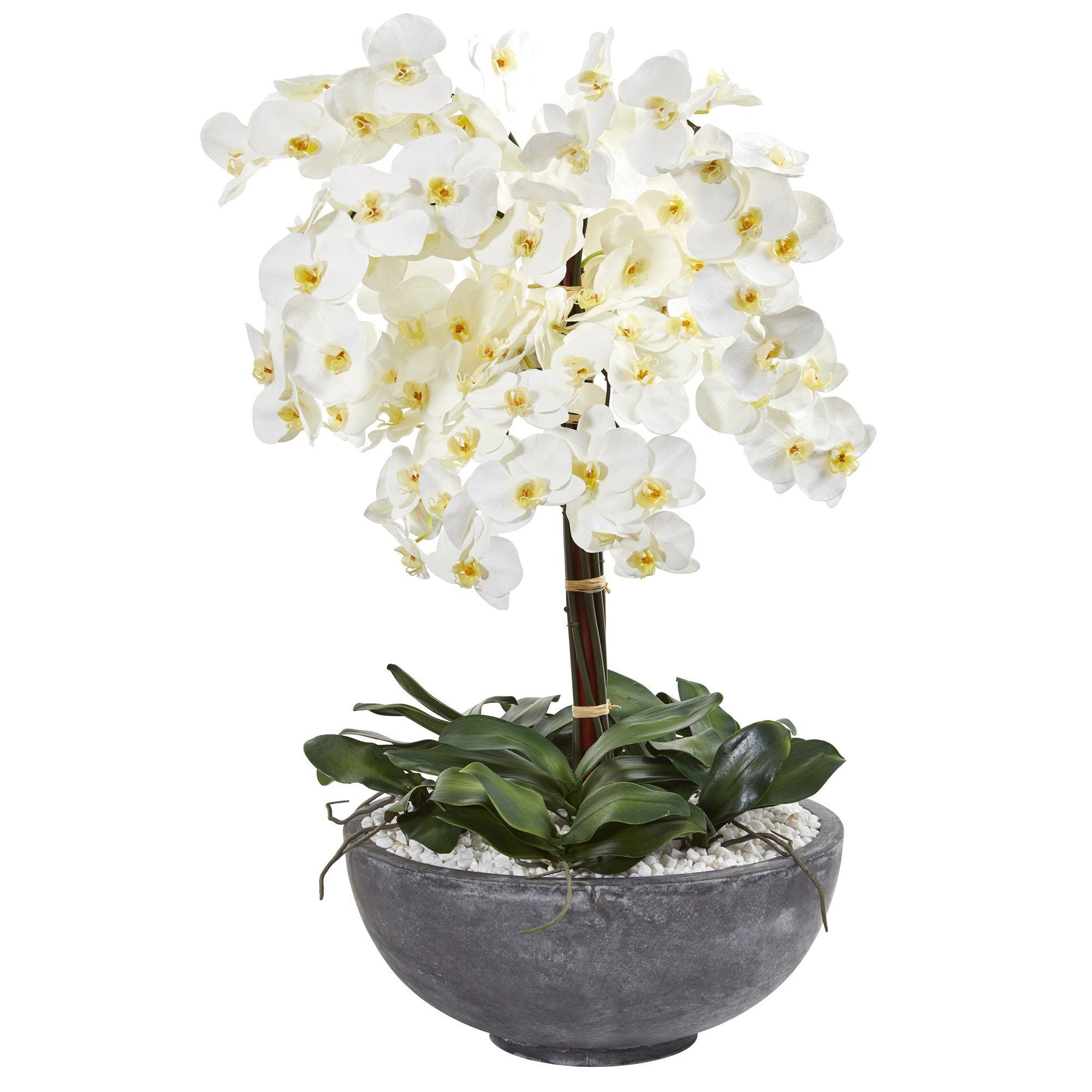  35” Phalaenopsis Orchid Artificial Arrangement in Large Cement Bowl 