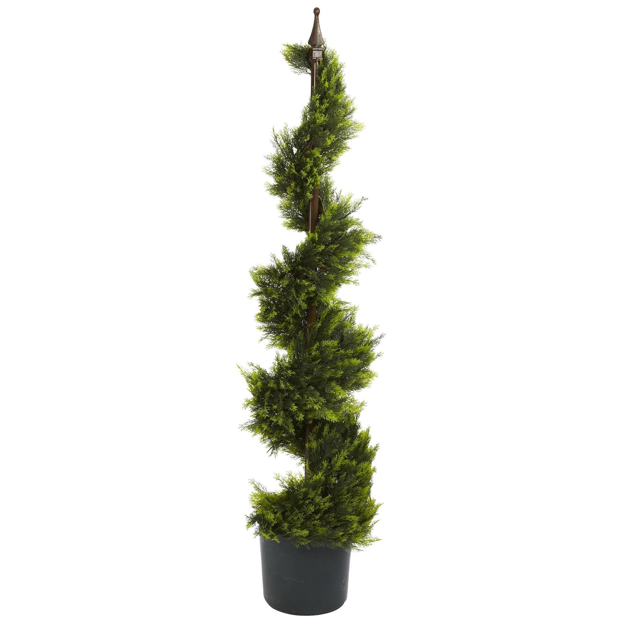  4' Cypress Spirial Silk Tree 