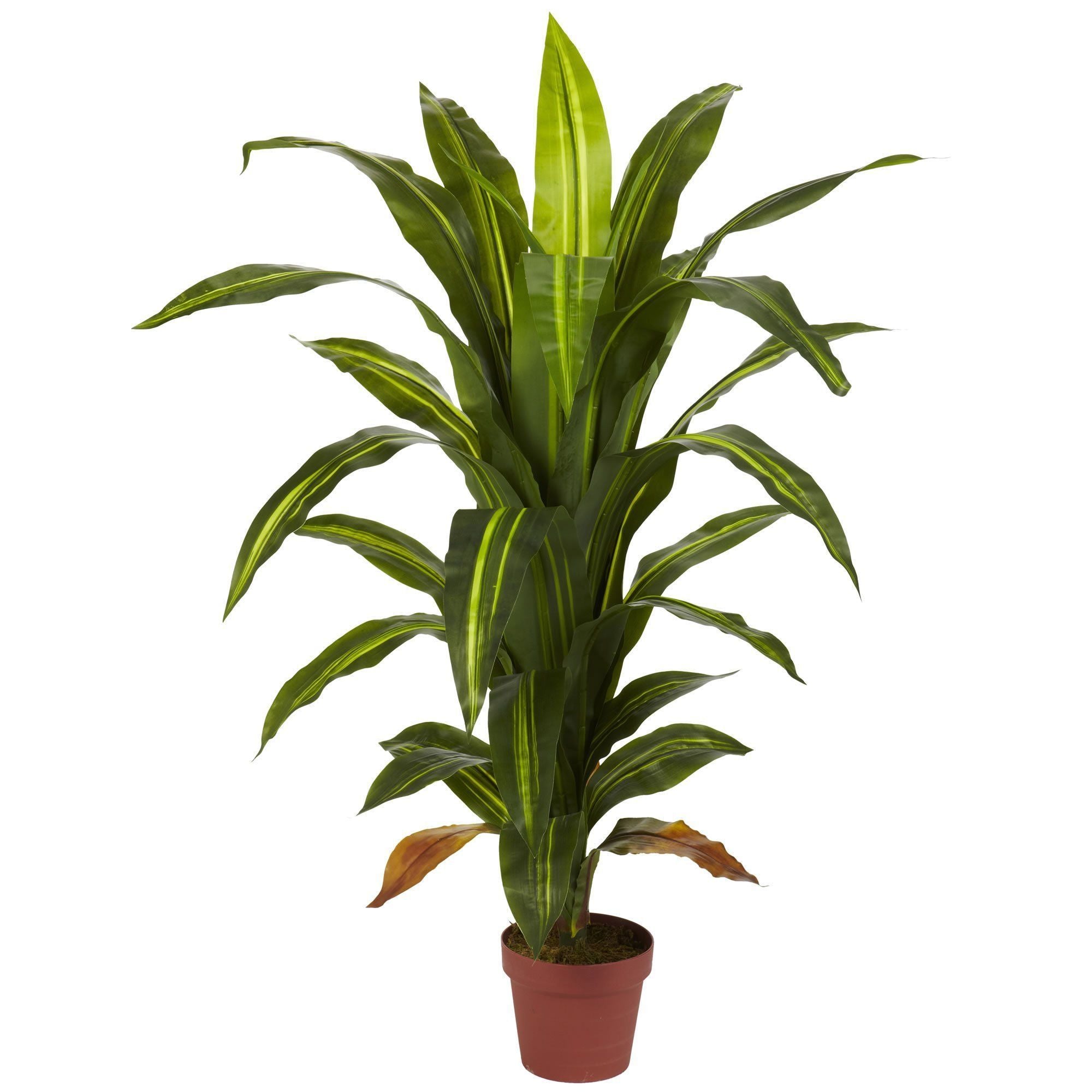  4' Dracaena Silk Plant (Real Touch) 