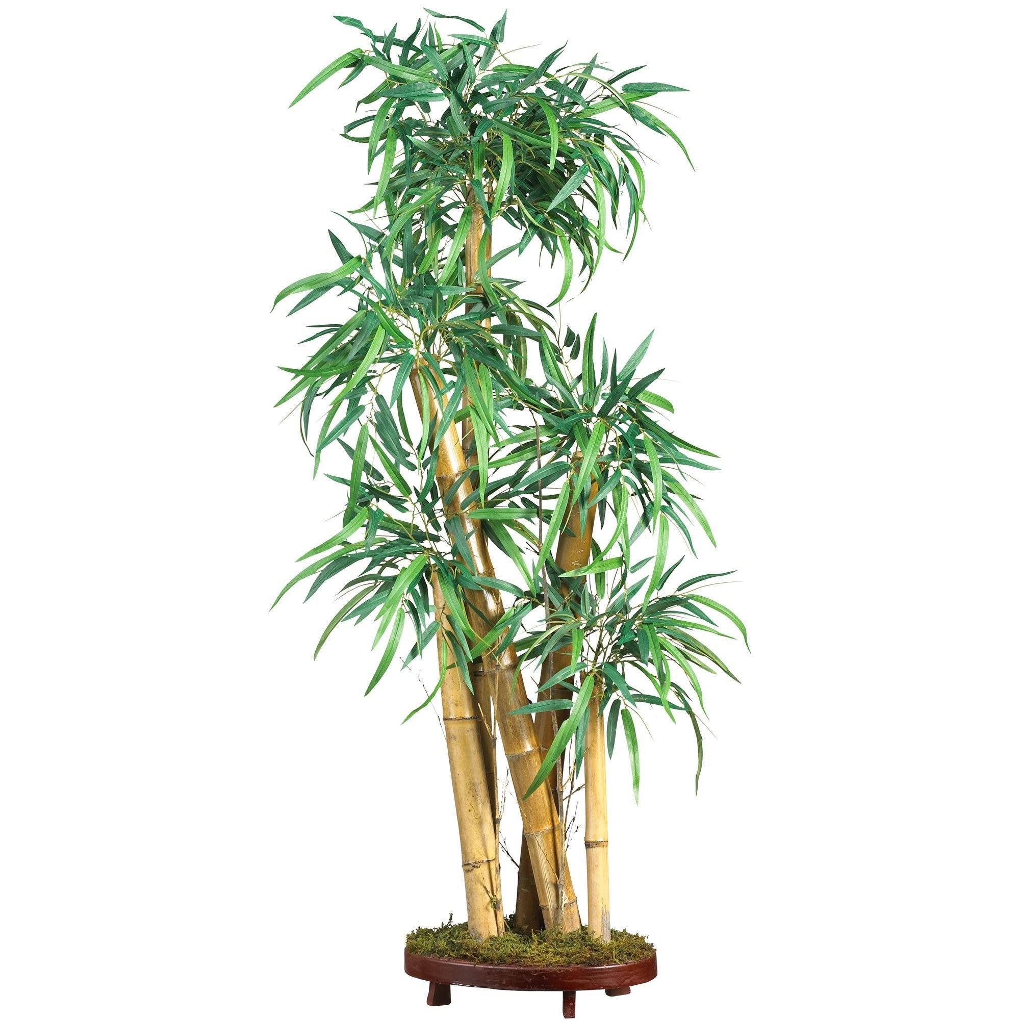  42" Chinese Style Bamboo Silk Tree" 