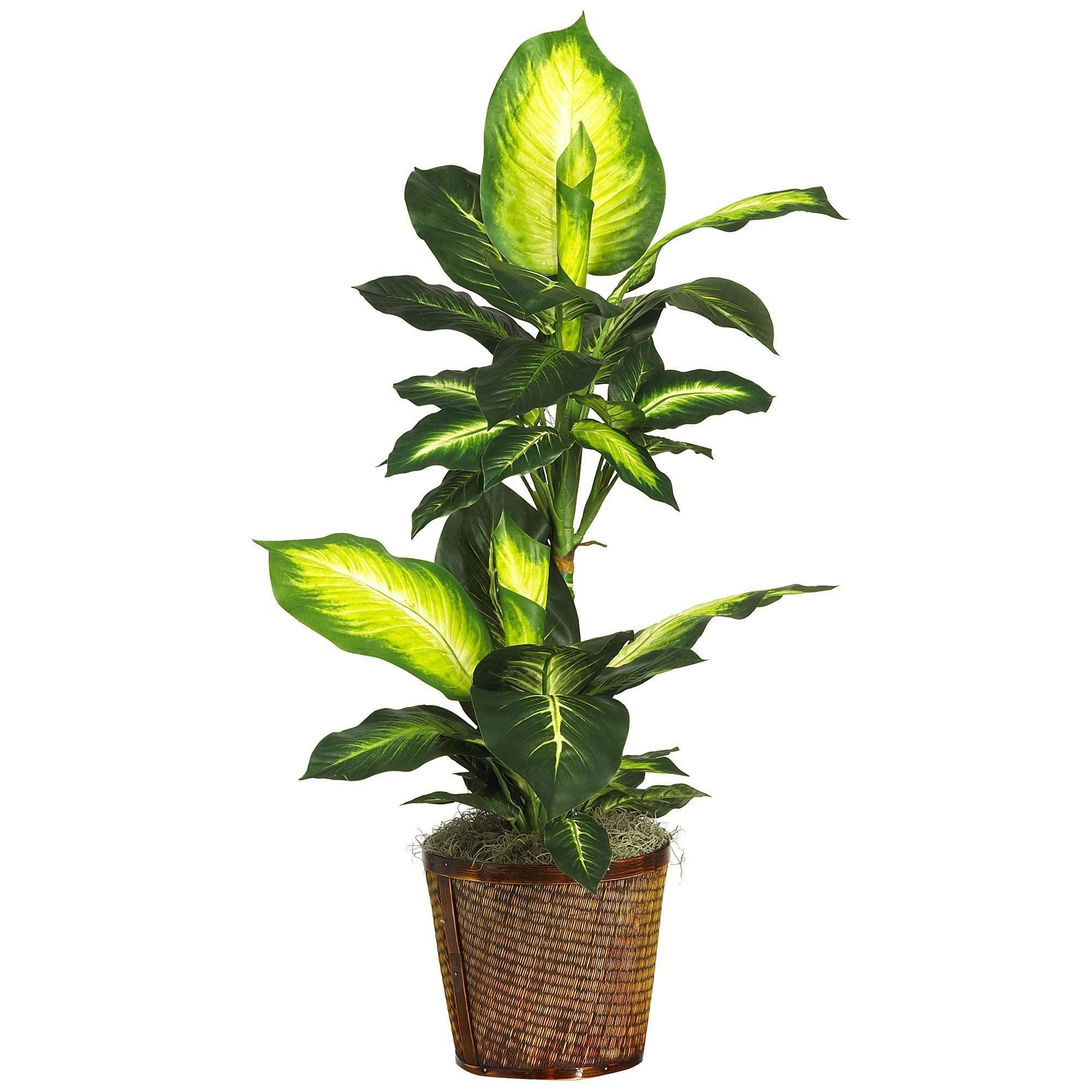  42" Golden Dieffenbachia w/Basket Silk Plant" 