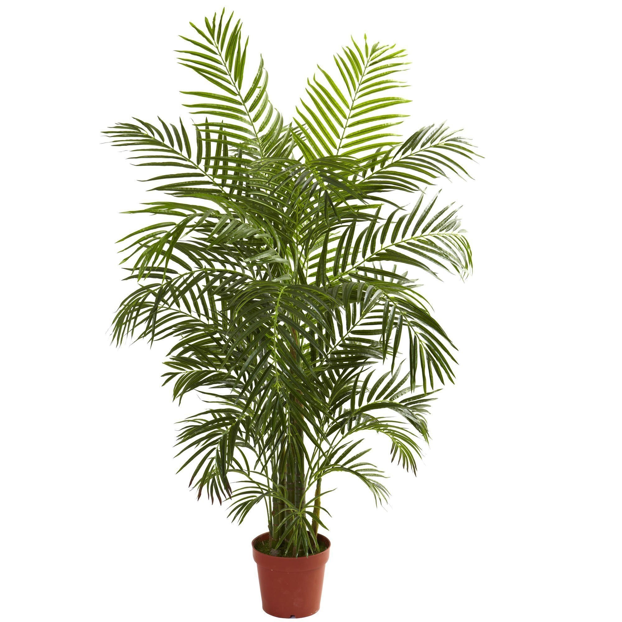 Image of 4.5' Areca Palm UV Resistant (Indoor/Outdoor)