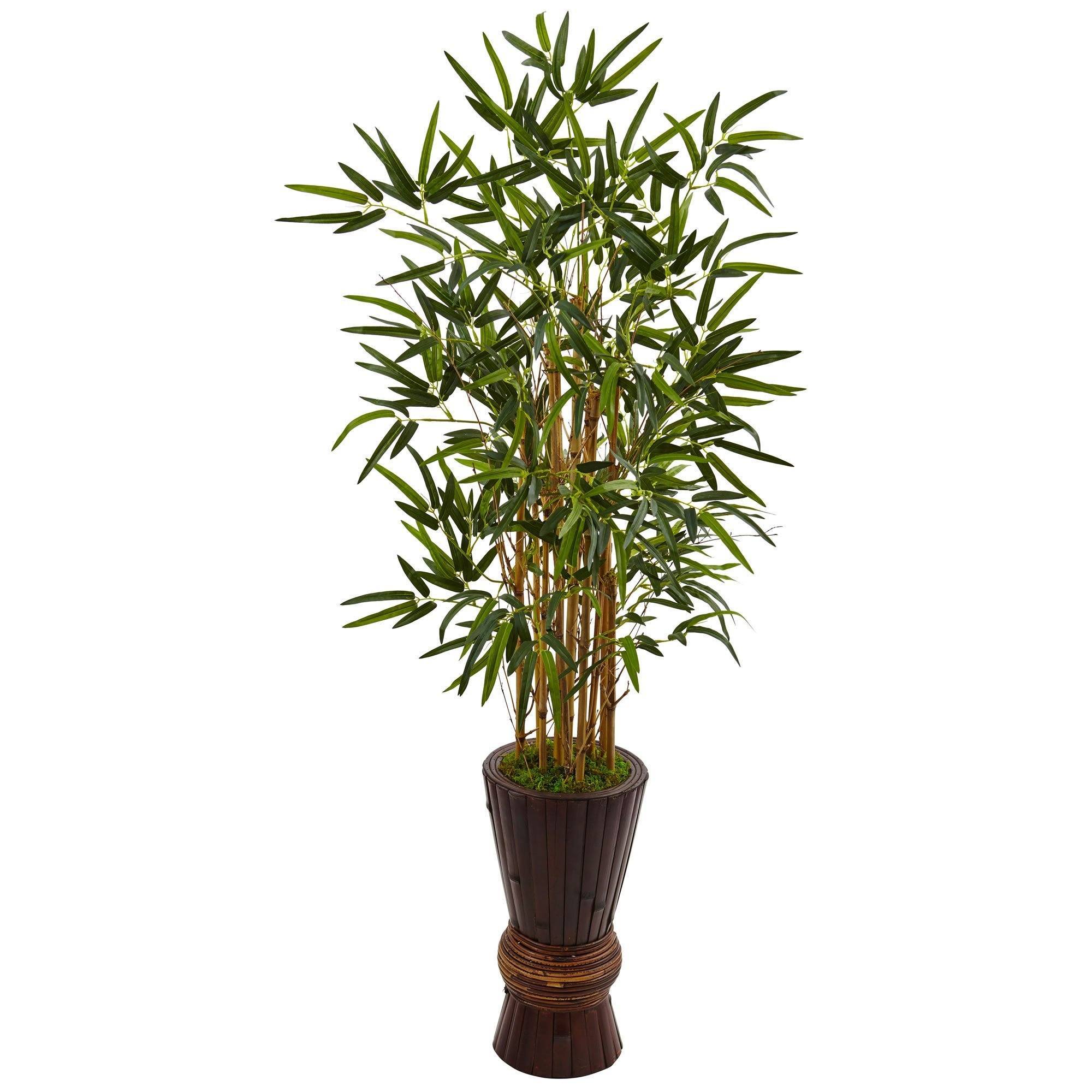  4.5’ Bamboo Tree in Bamboo Planter 