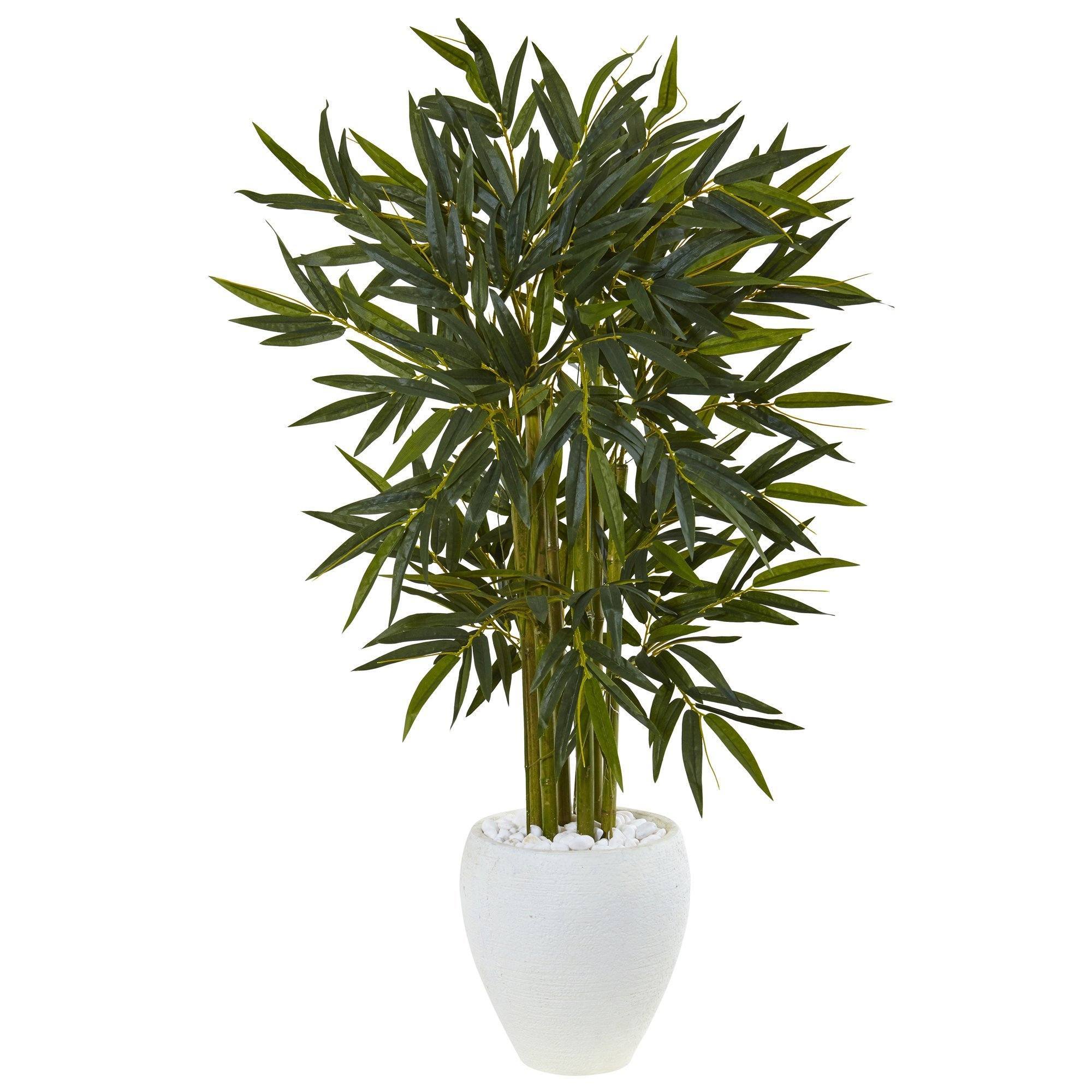  4.5’ Bamboo Tree in White Oval Planter 