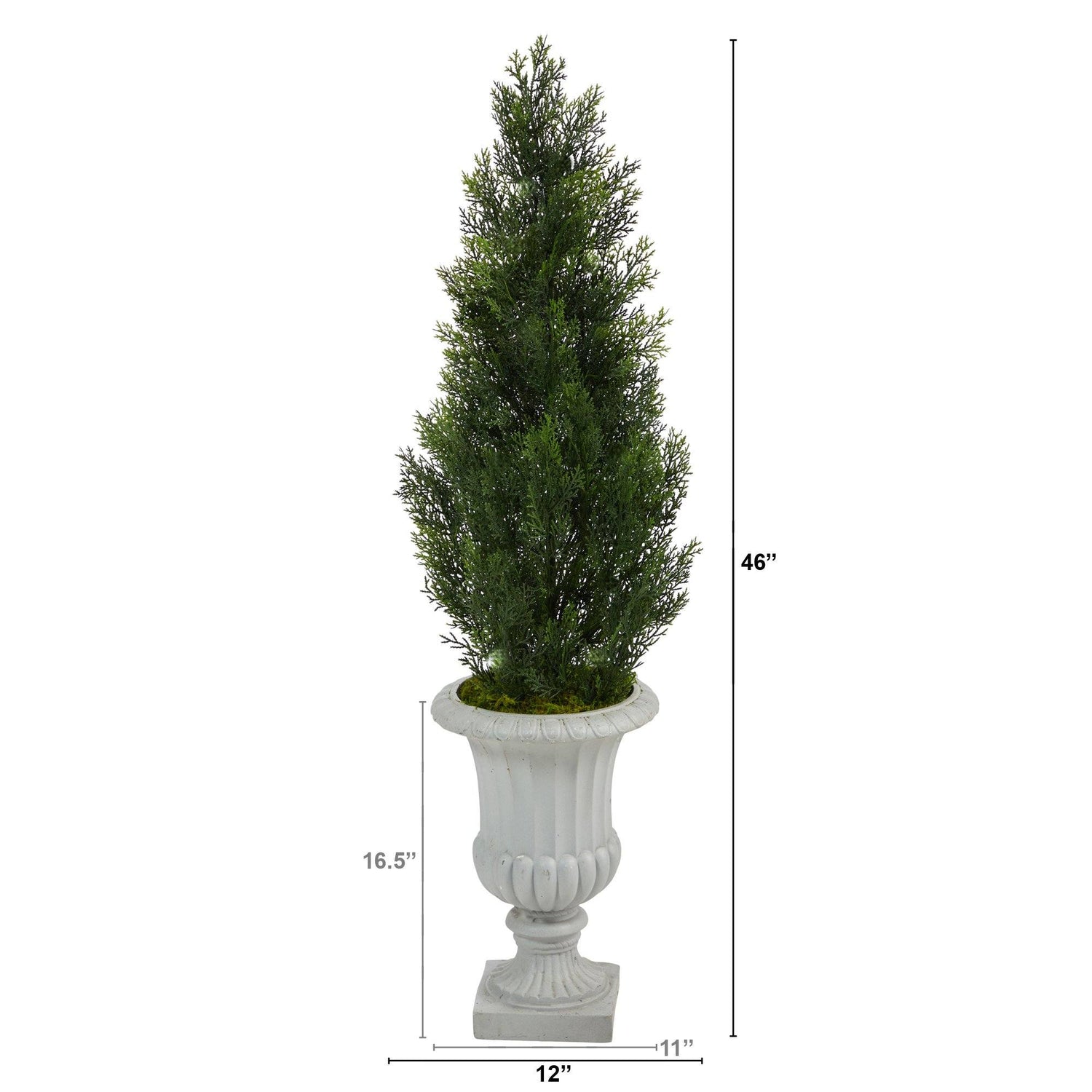 Mini Potted Pine Trees – buds 'n bloom design studio