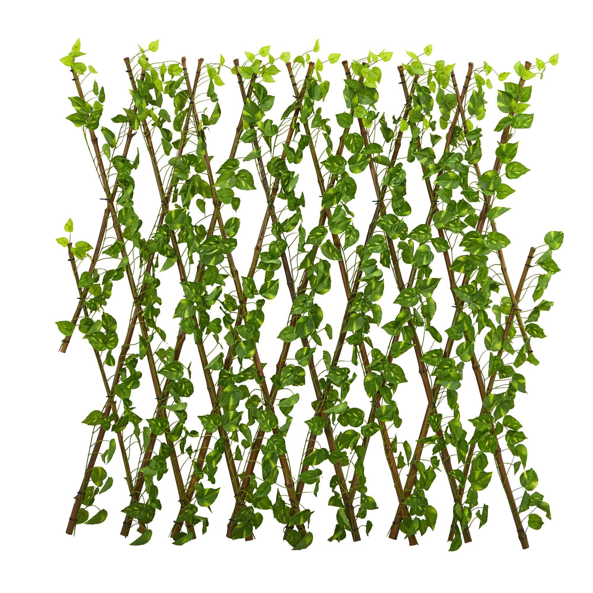  47” Pothos Expandable Fence UV Resistant & Waterproof Trellis 