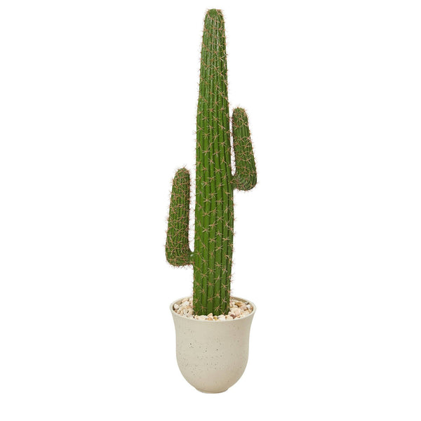 5' Cactus Artificial Plant in Decorative Urn | Nearly Natural