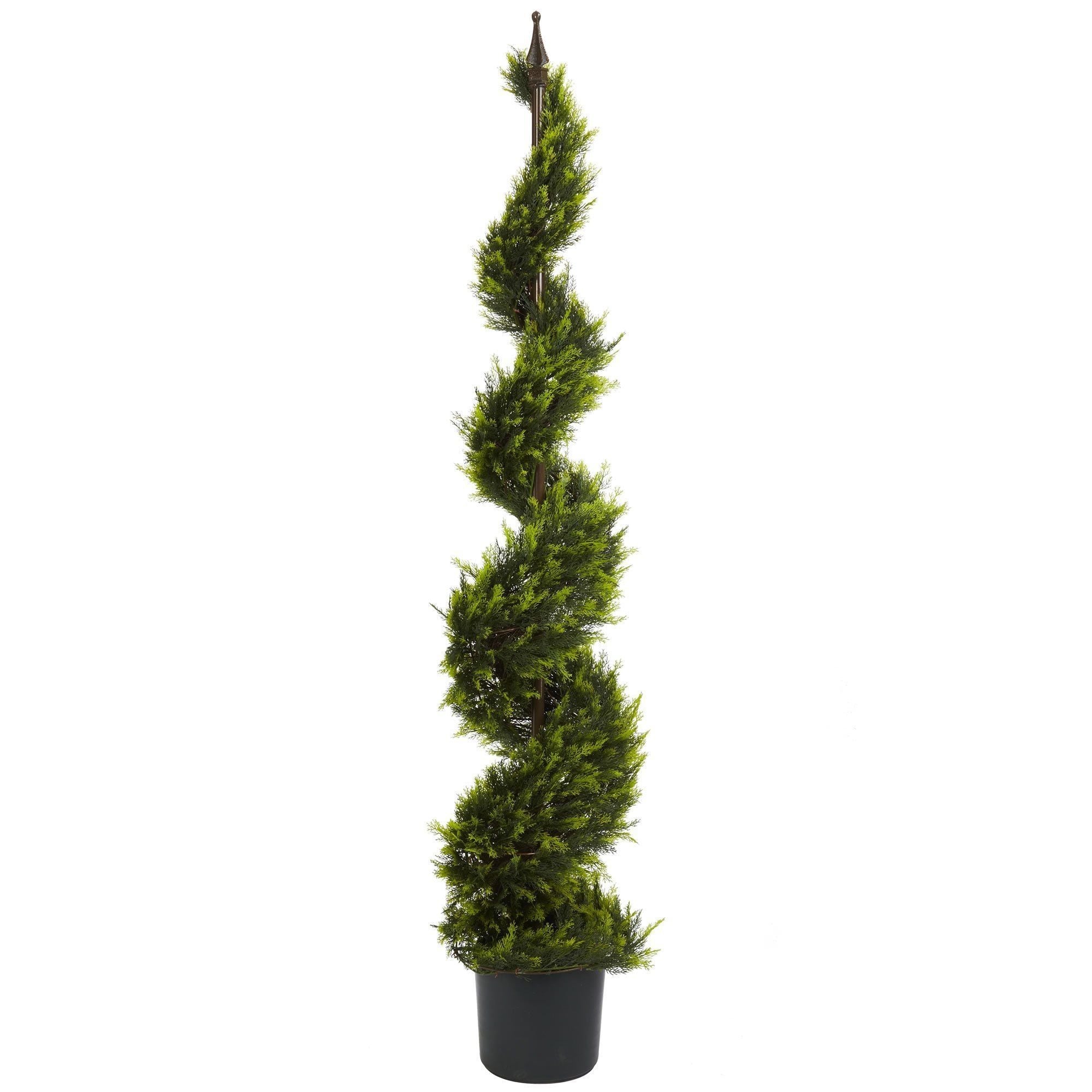  5' Cypress Spiral Tree 