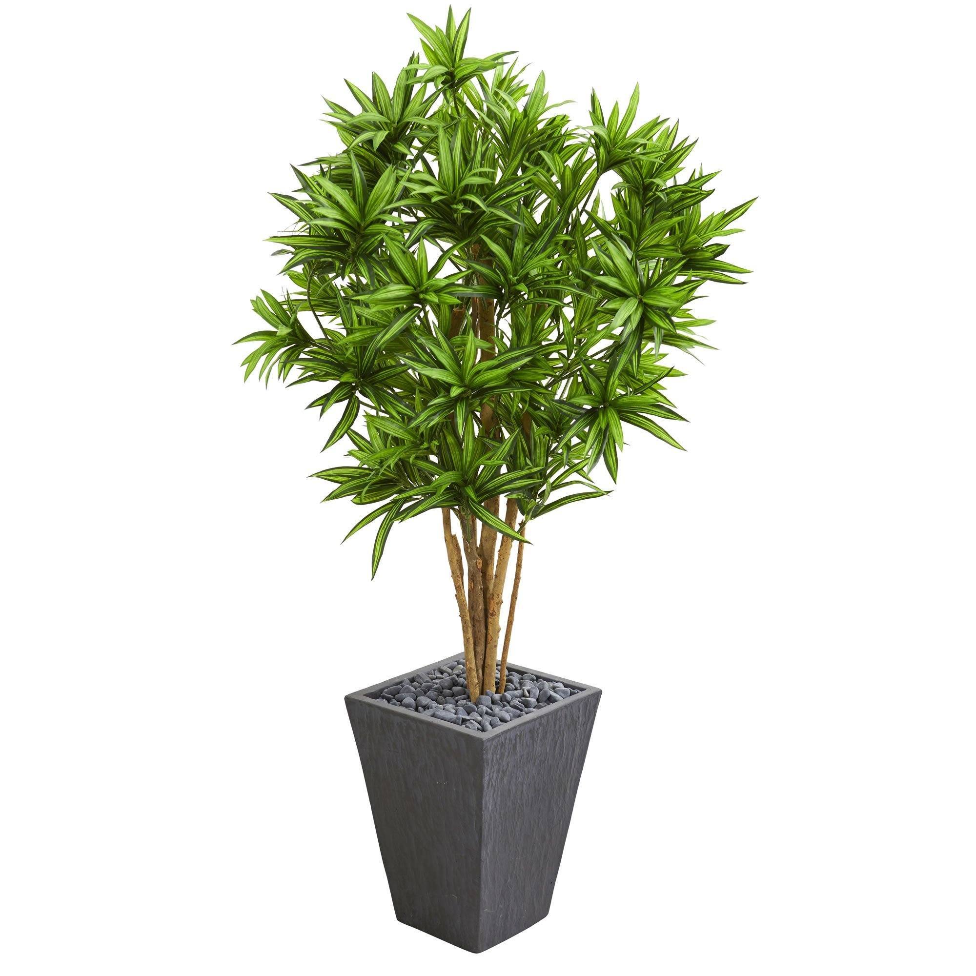  5' Dracaena Artificial Tree in Slate Finished Planter 