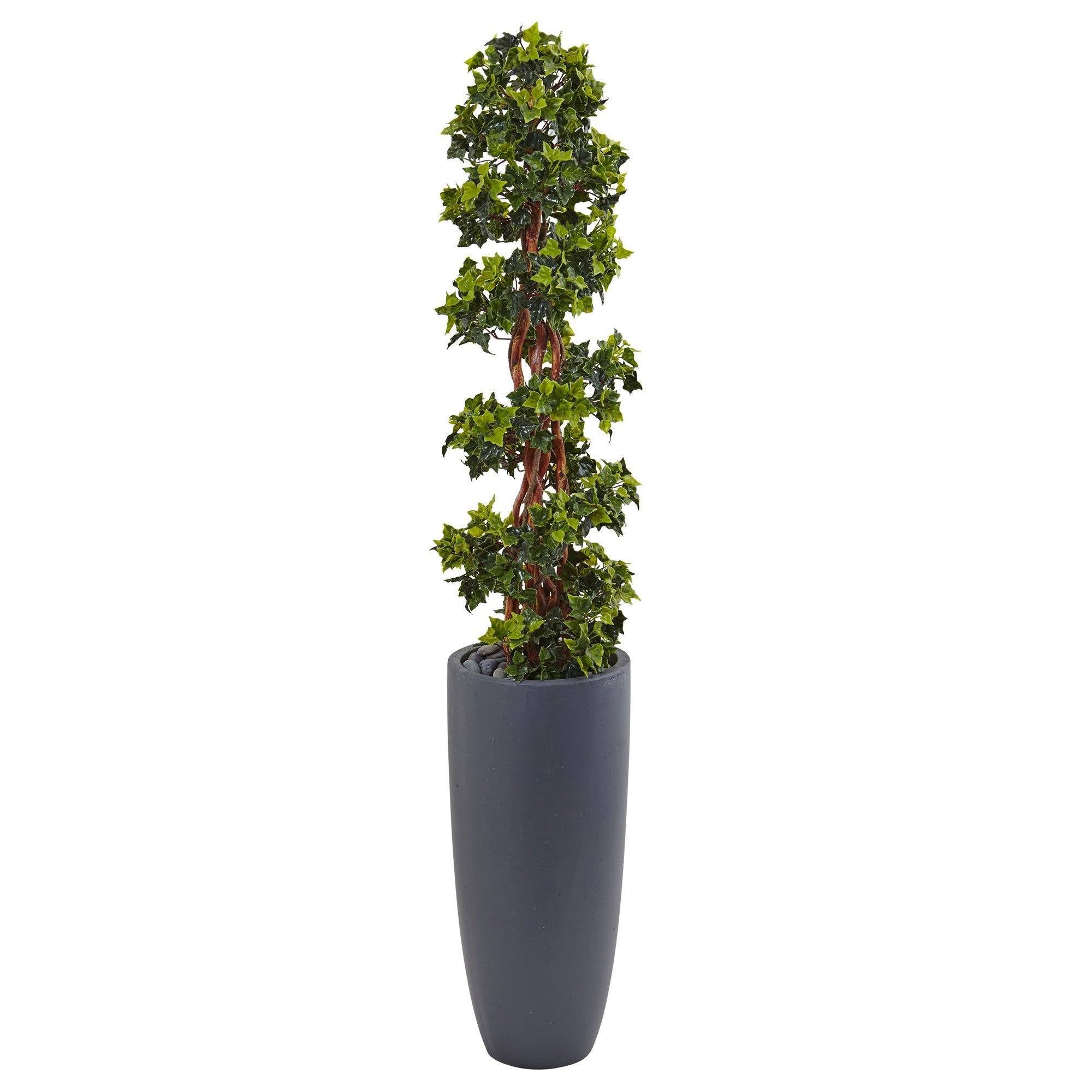  5’ English Ivy Spiral Topiary Tree in Gray Cylinder Planter UV Resistant (Indoor/Outdoor) 