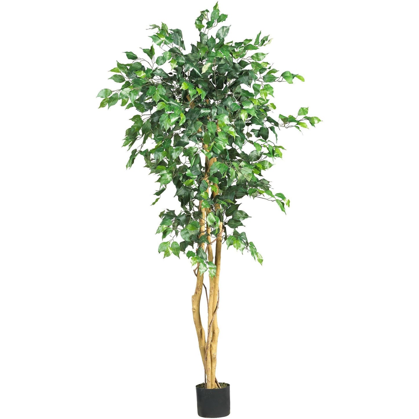 5' Ficus Silk Tree | Nearly Natural