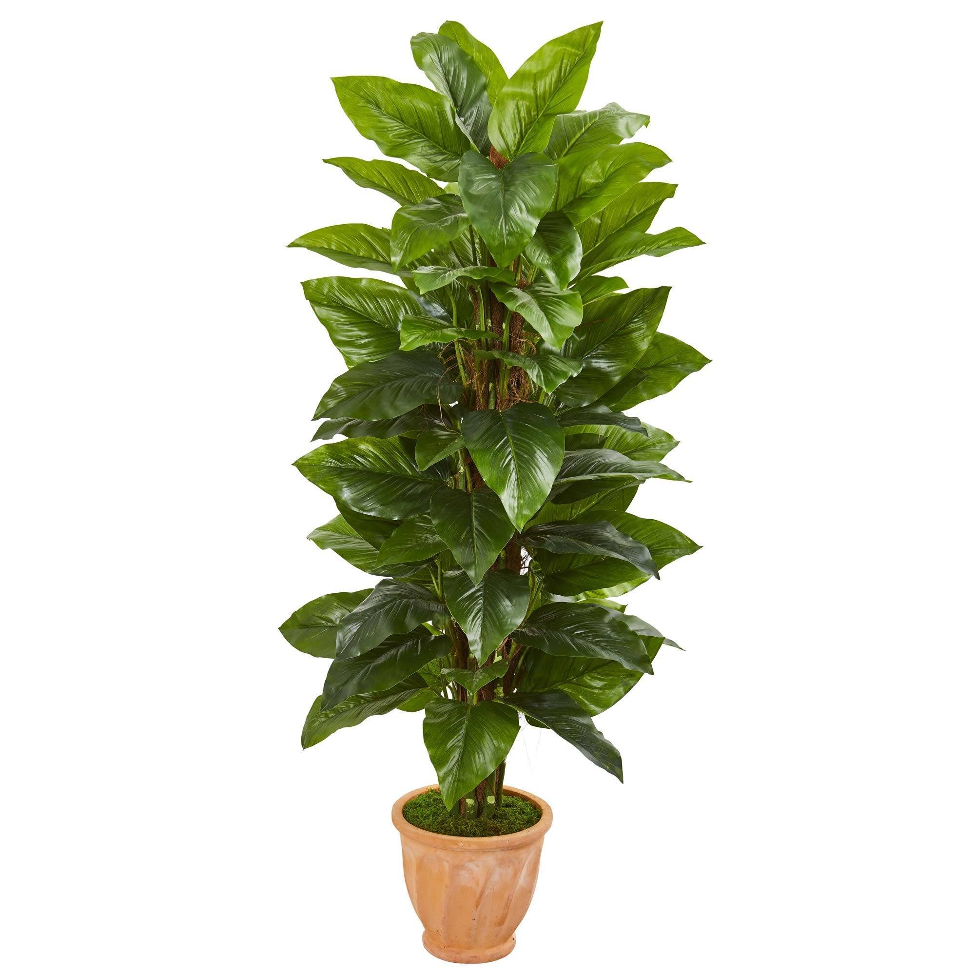  5’ Large Leaf Philodendron Artificial Plant in Terra Cotta Planter (Real Touch) 