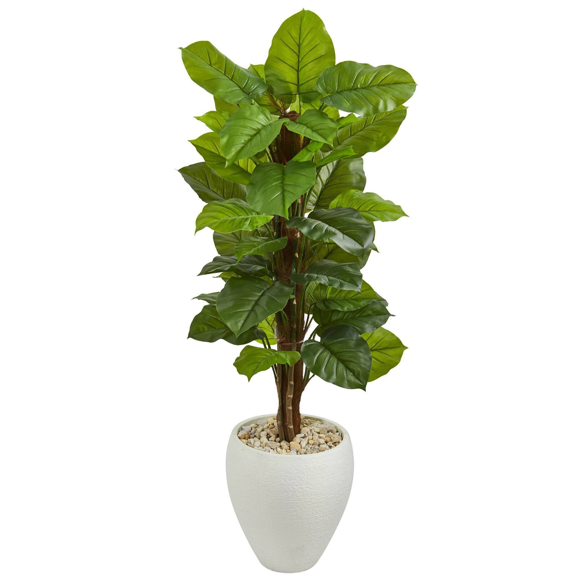  5’ Large Leaf Philodendron Artificial Plant in White Oval Planter (Real Touch) 