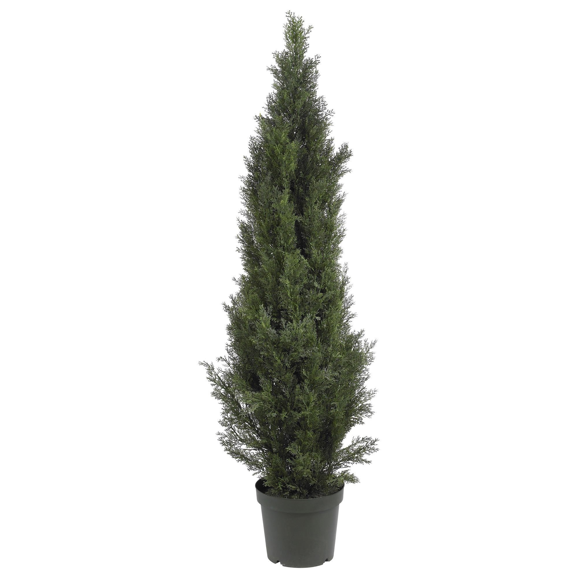 Nearly Natural Mini Cedar Pine Tree, Size: 13W x 11D x 24H, Green