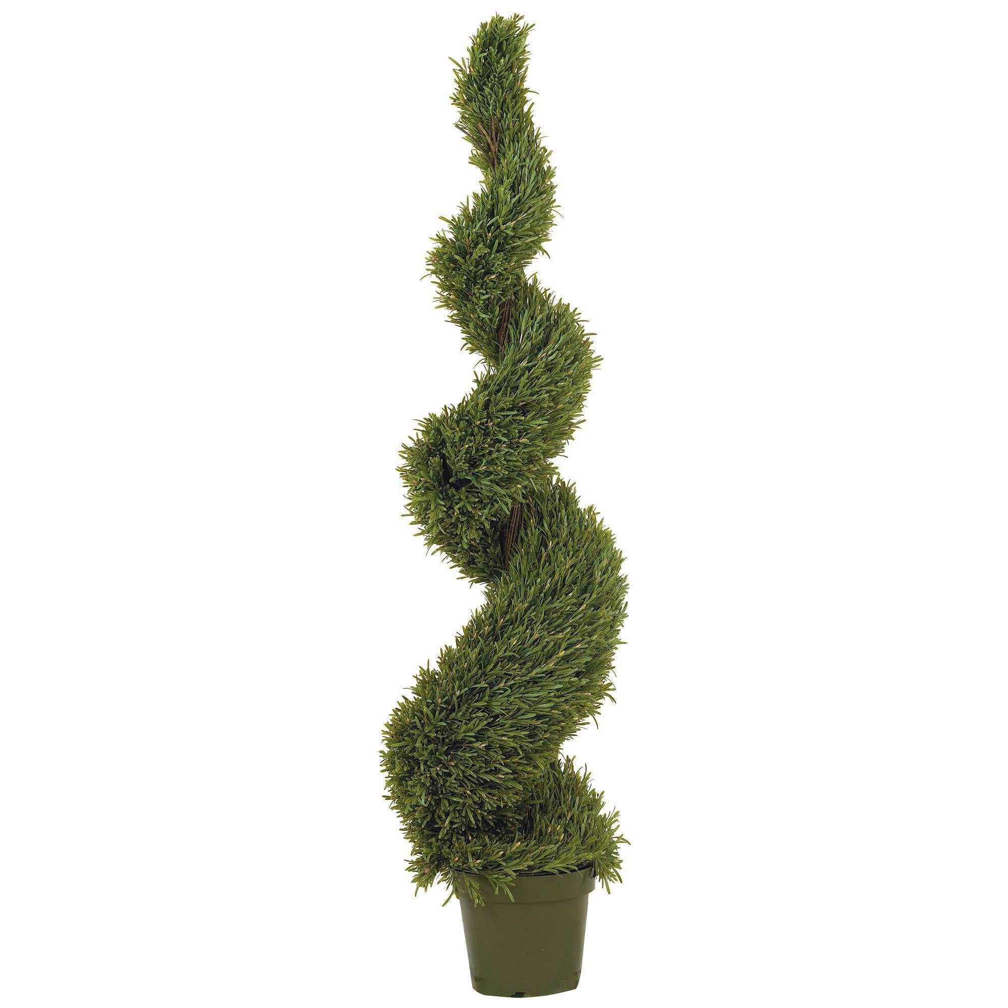  5' Rosemary Spiral Silk Tree (In-door/Out-door) 