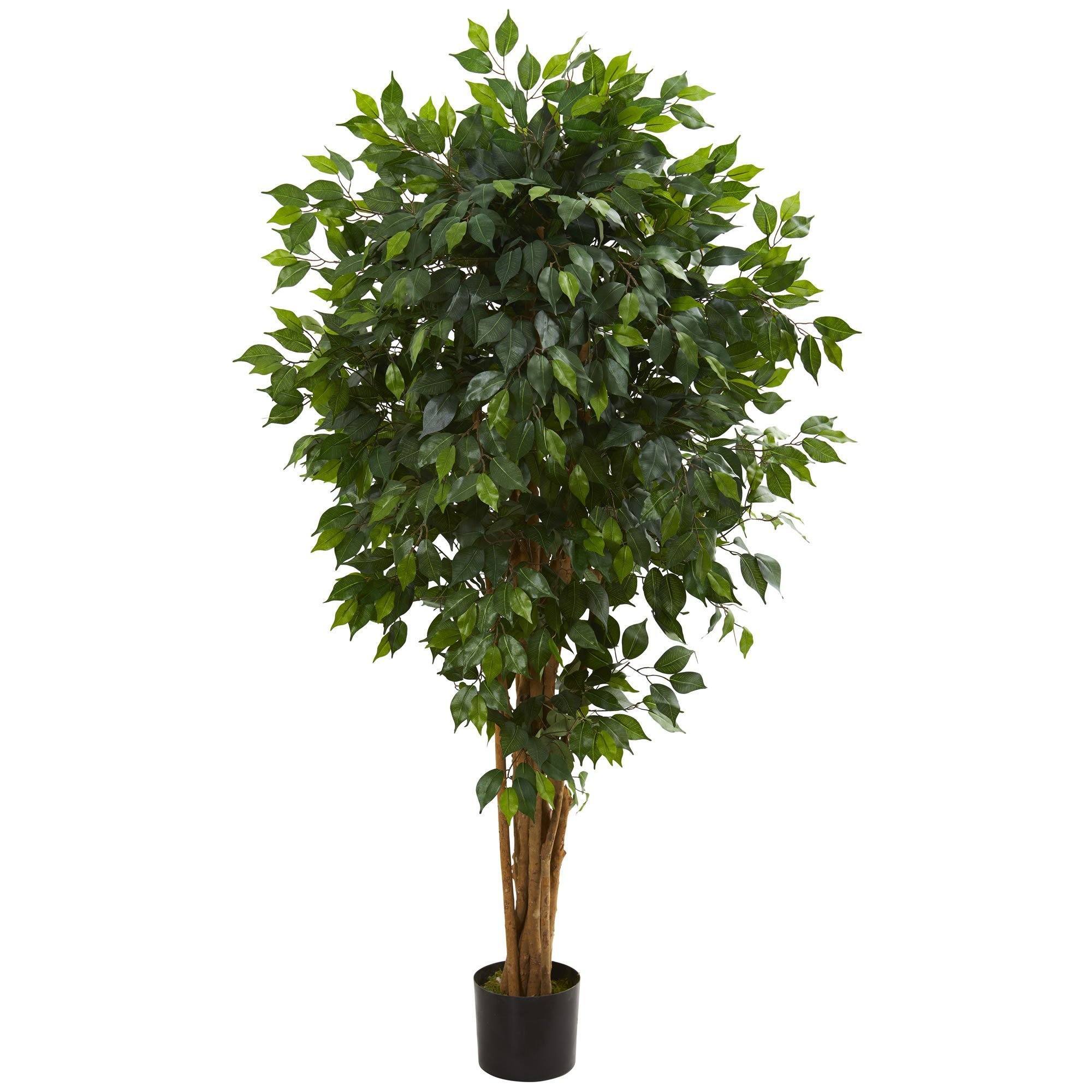 5.5’ Artificial Ficus Tree Bunched Trunks | Nearly Natural