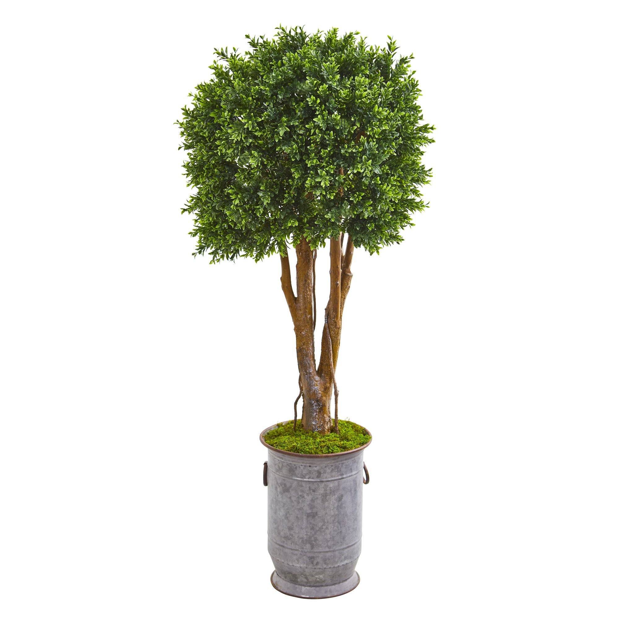 55â Boxwood Artificial Topiary Tree in Planter UV Resistant (Indoor/Outdoor) | Nearly Natural