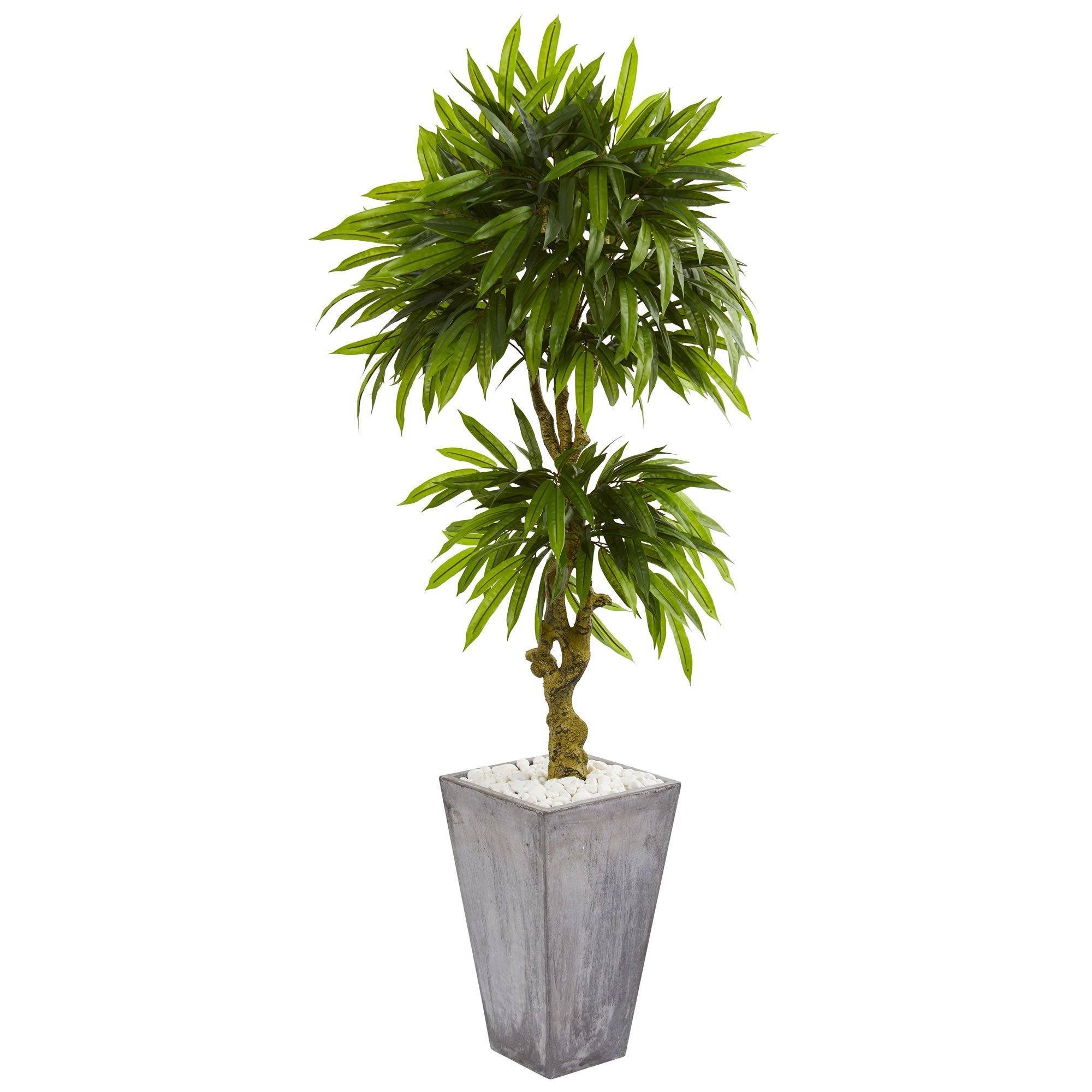  5.5’ Mango Artificial Tree in Concrete Planter (Indoor/Outdoor) 