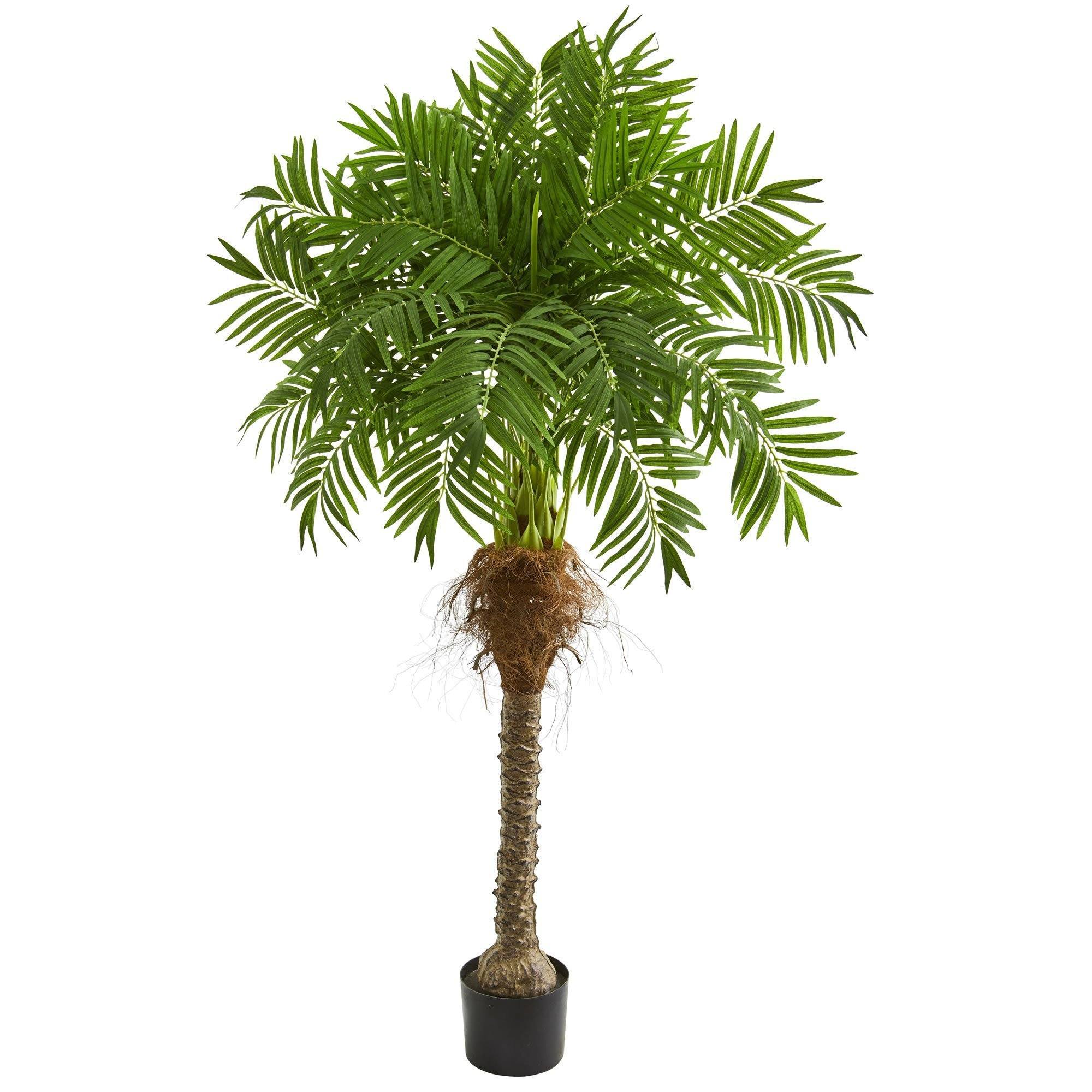  5.5’ Robellini Palm Artificial Tree 