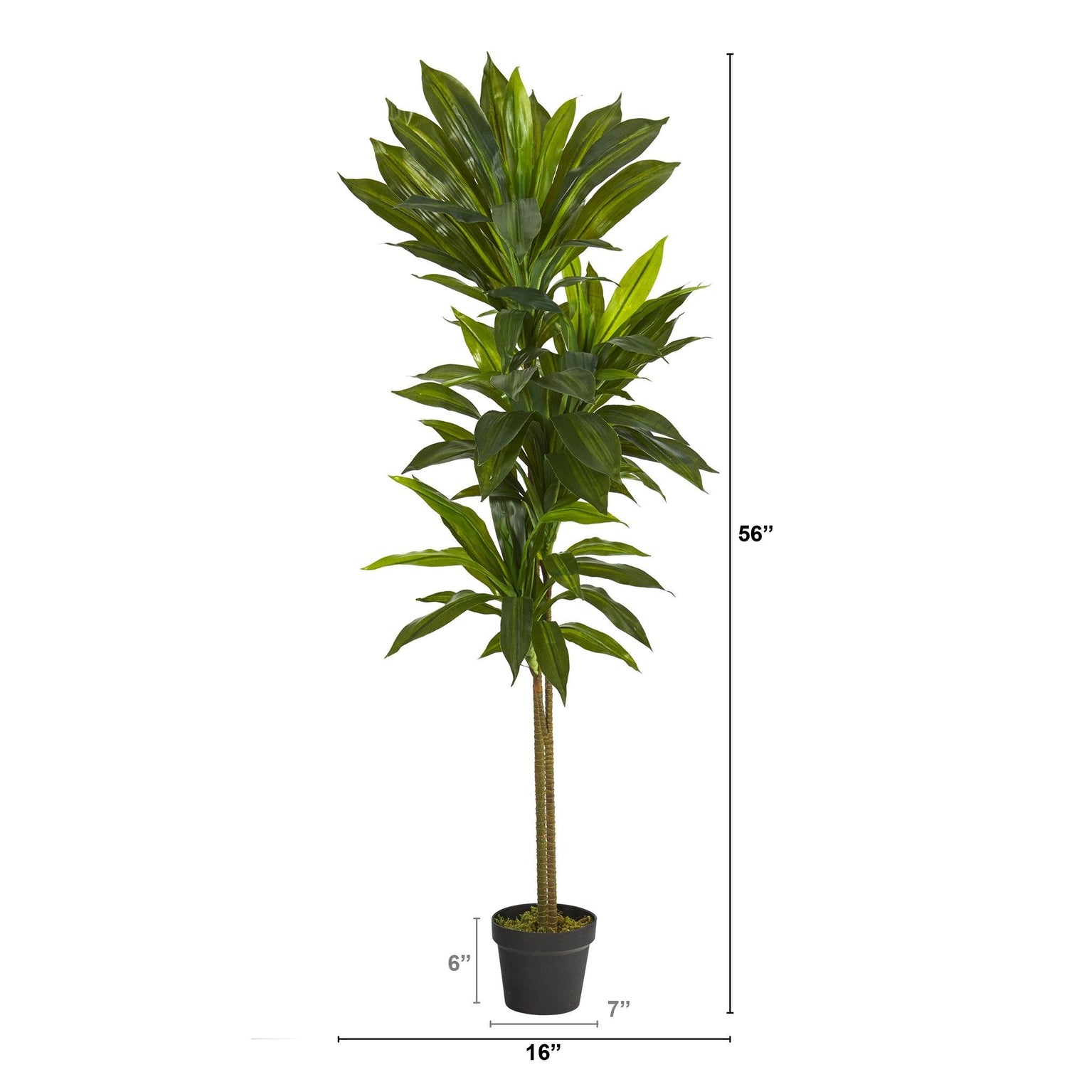 Planta artificial de dracaena reflexa en maceta 120CM - Aliss