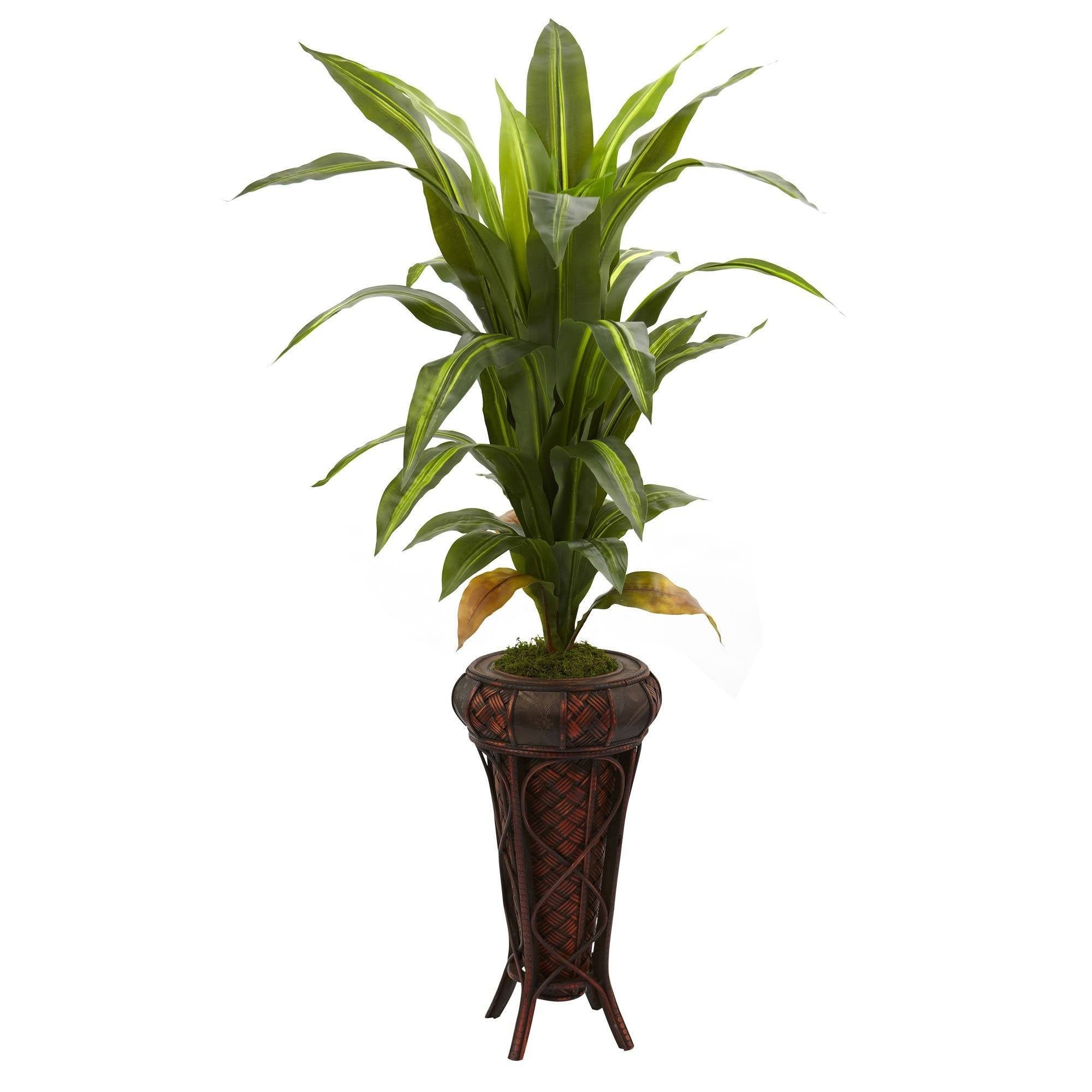  57” Dracaena w/Stand Silk Plant (Real Touch) 