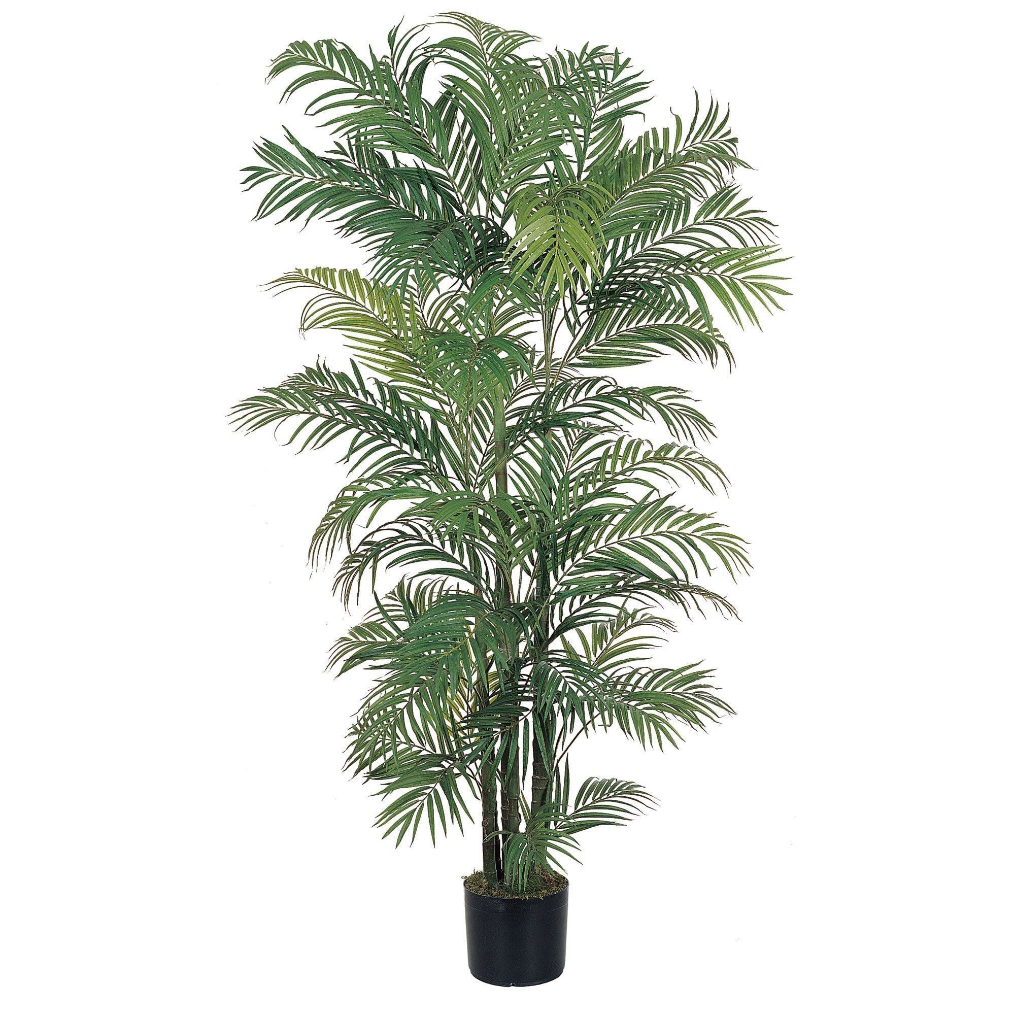  6' Areca Silk Palm Tree 