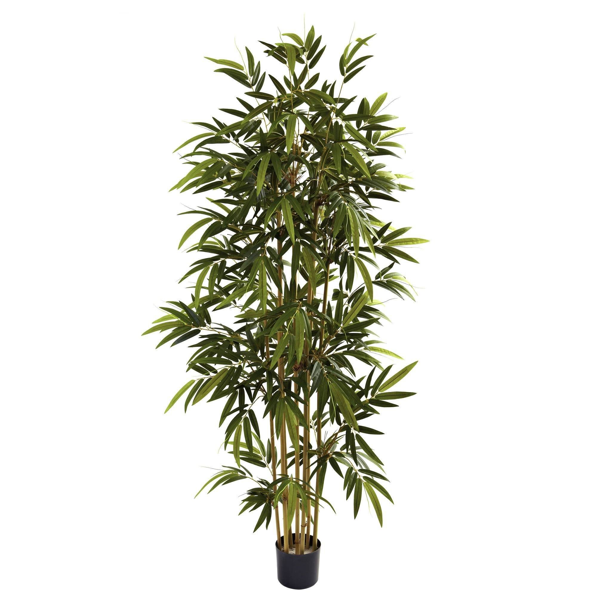  6' Bamboo Tree 