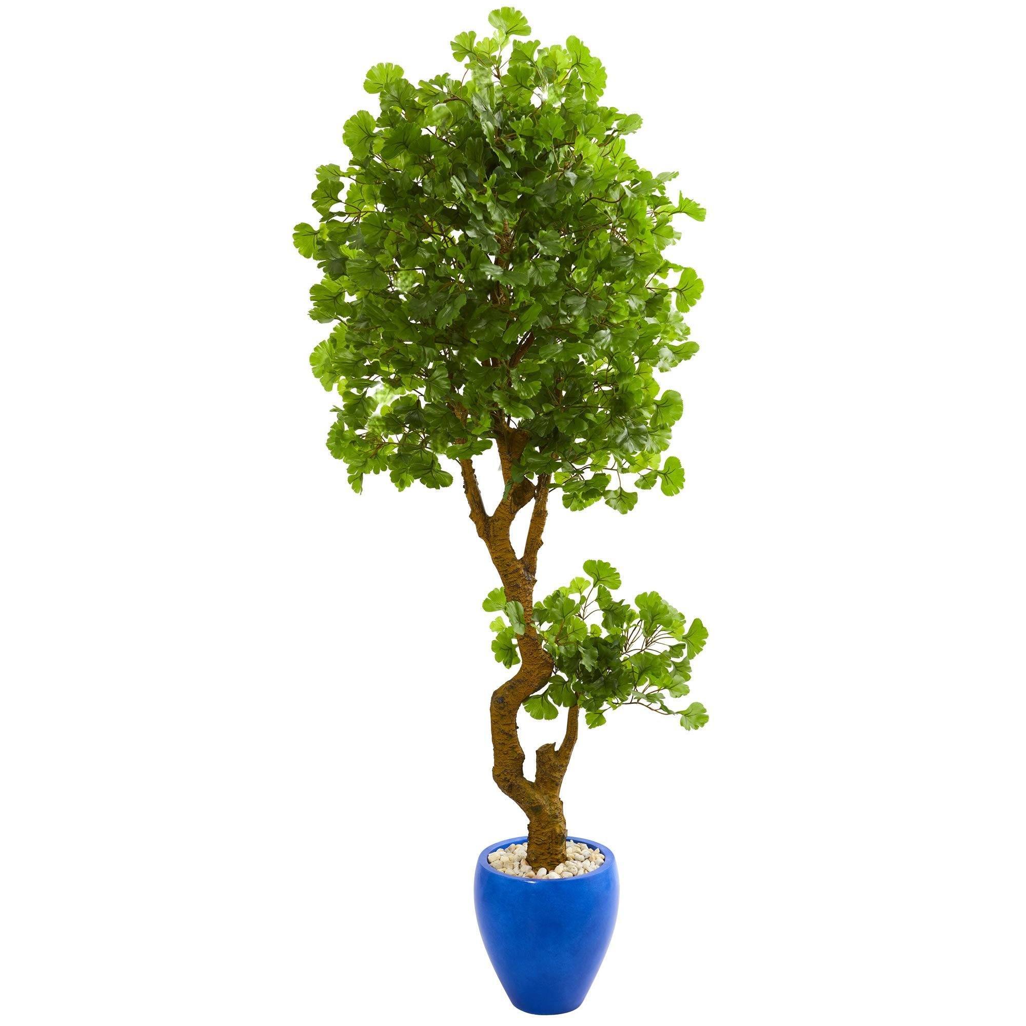  6’ Jingo Artificial Tree in Blue Planter (Indoor/Outdoor) 