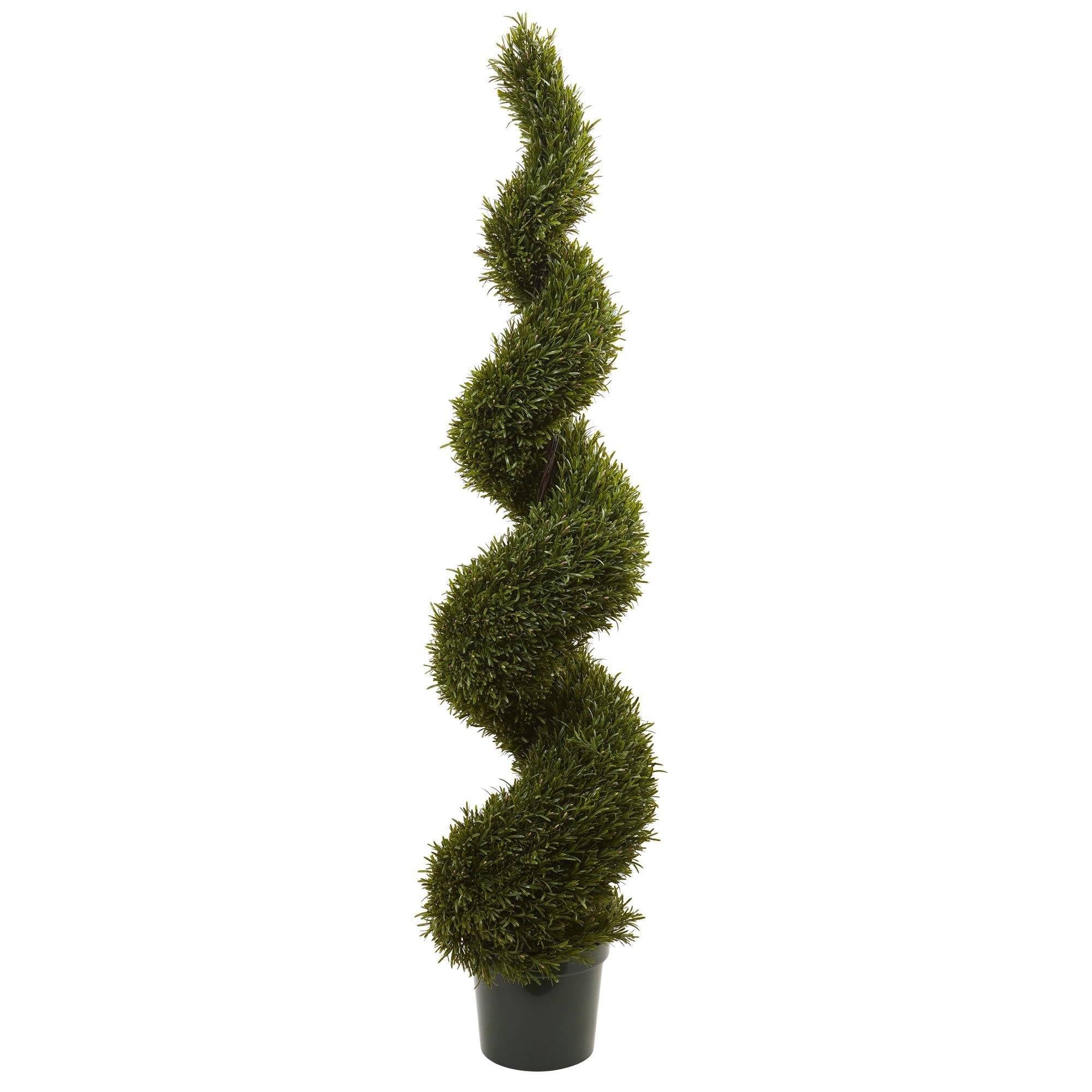  6' Rosemary Spiral Tree (Indoor/Outdoor) 