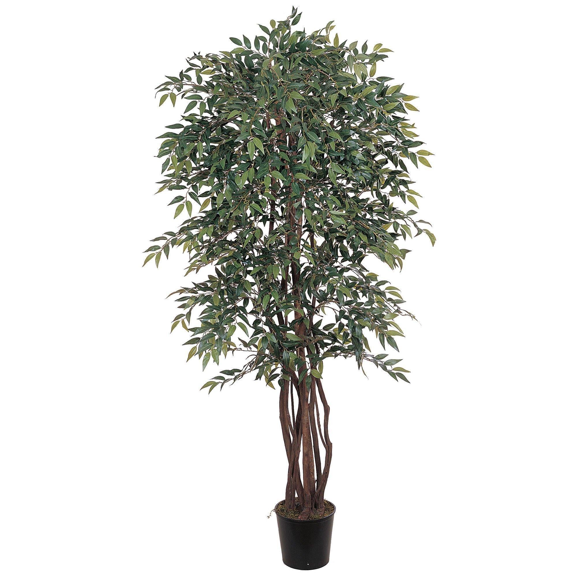  6' Smilax Silk Tree 