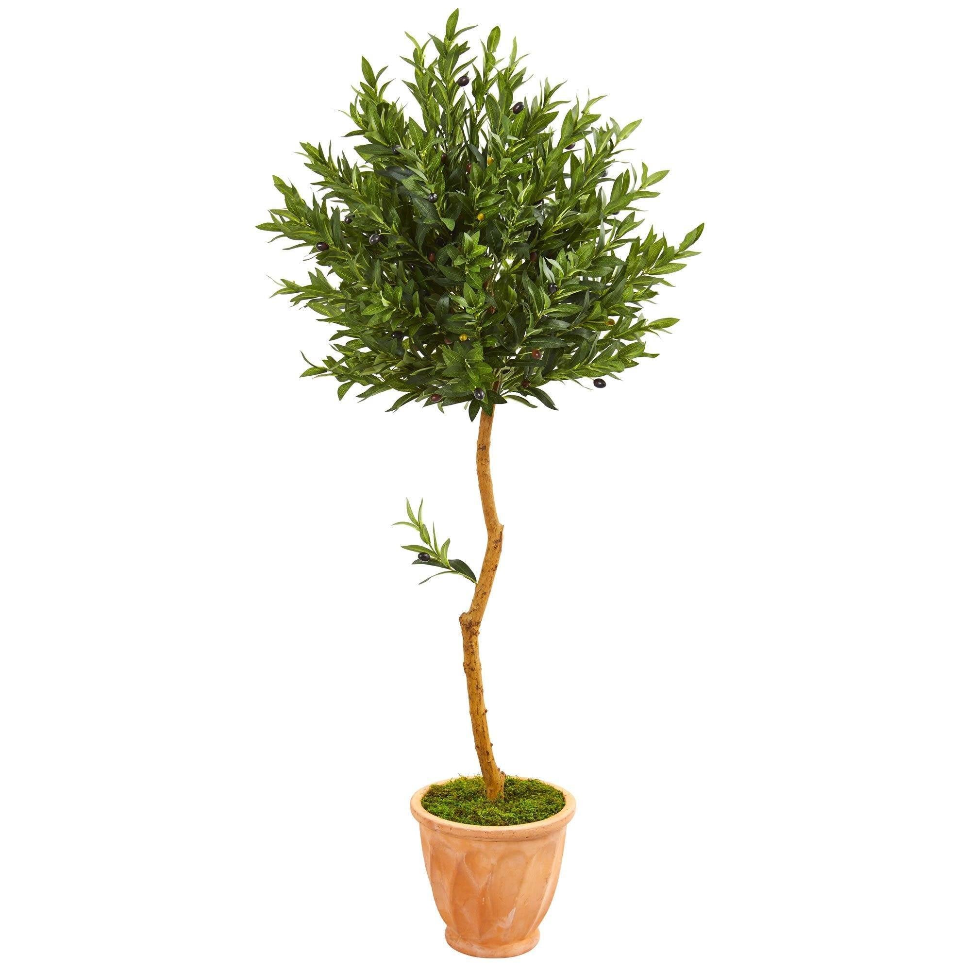 Image of 63” Olive Topiary Artificial Tree in Terra Cotta Planter (Indoor/Outdoor)