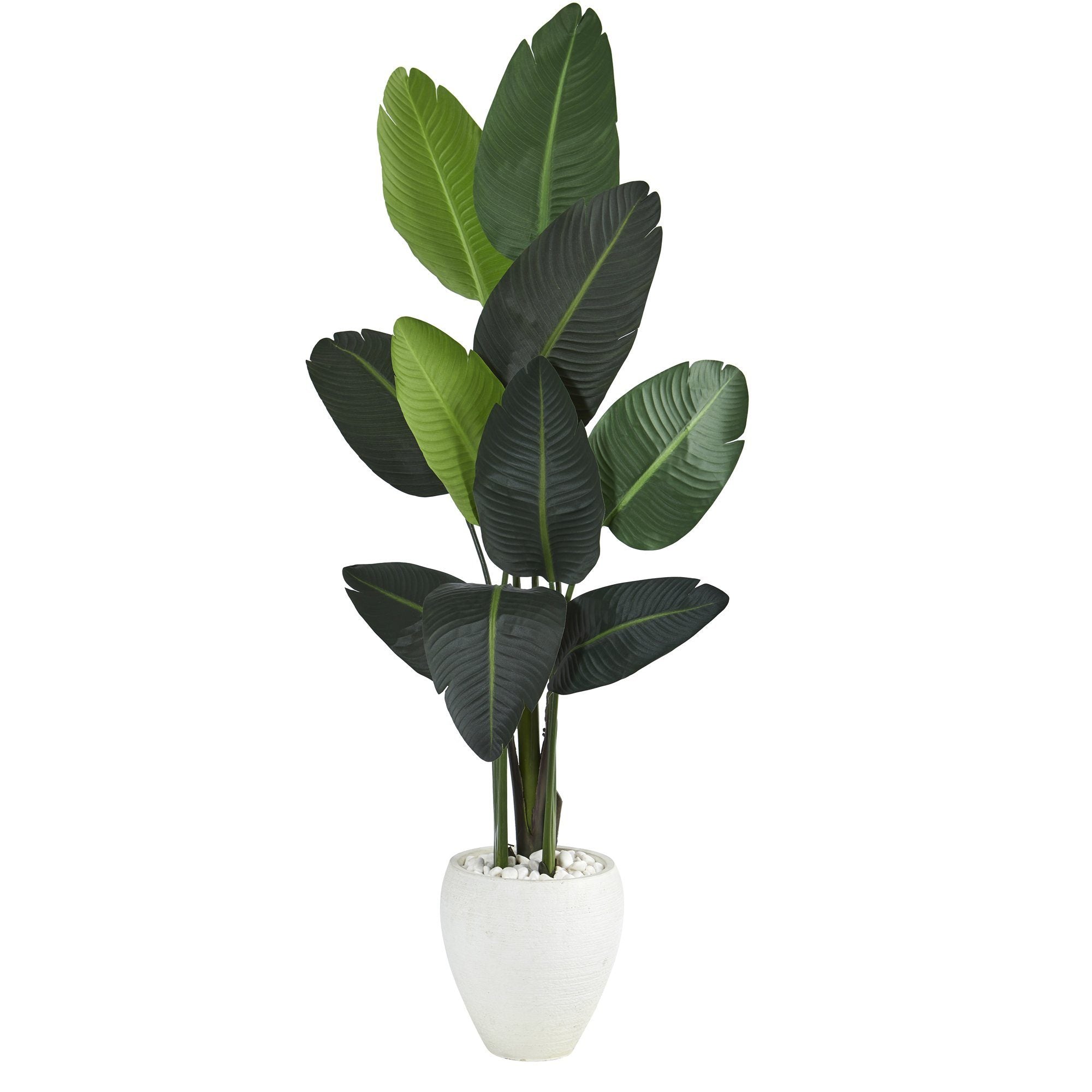 Image of 63” Traveler's Palm Artificial tree in White Planter