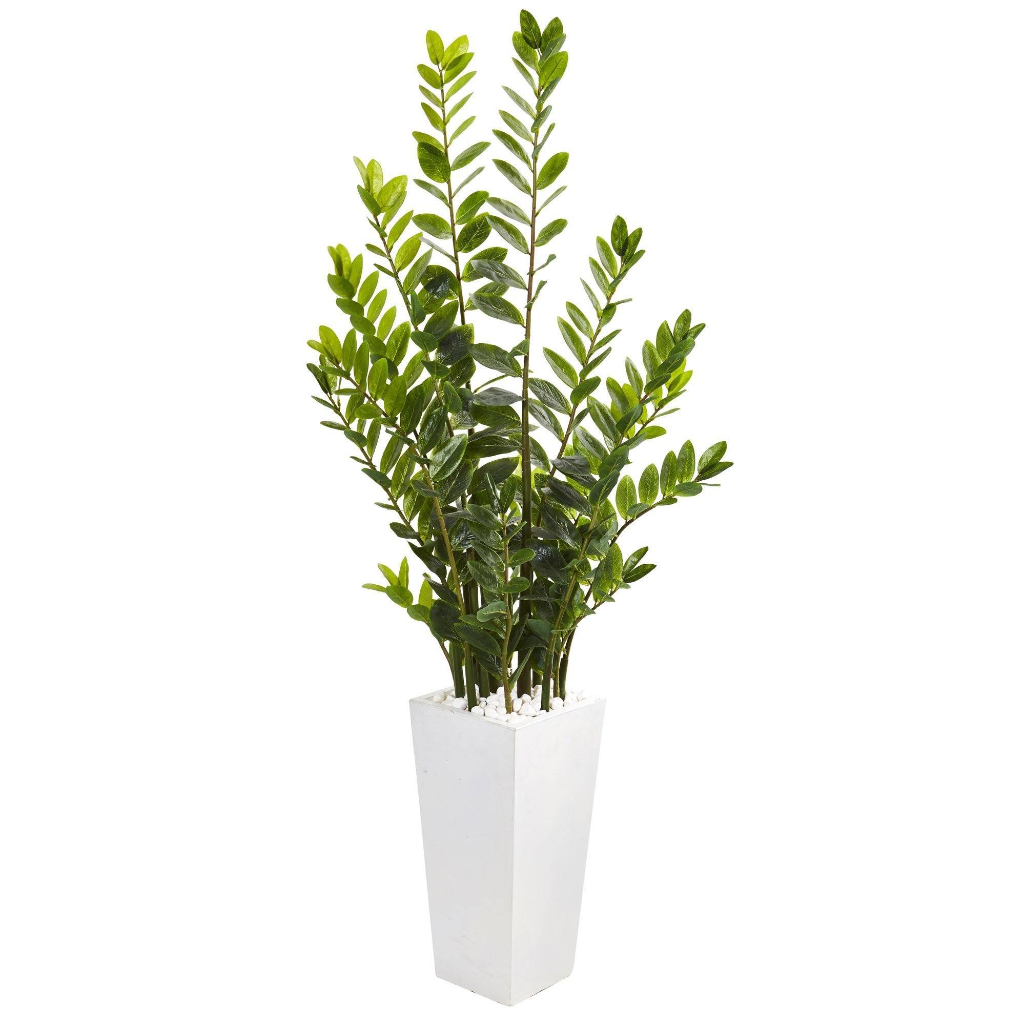  65” Zamioculcas Artificial Plant in White Planter 