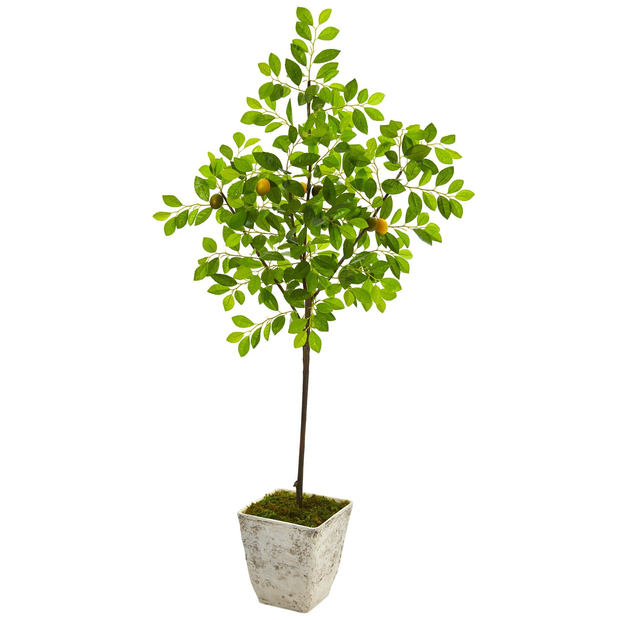 68” Lemon Artificial Tree in Country White Planter