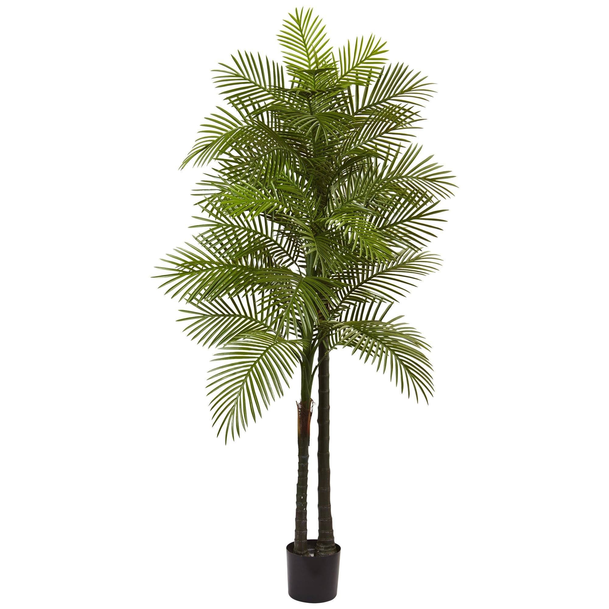  7’ Double Robellini Palm Tree UV Resistant (Indoor/Outdoor) 