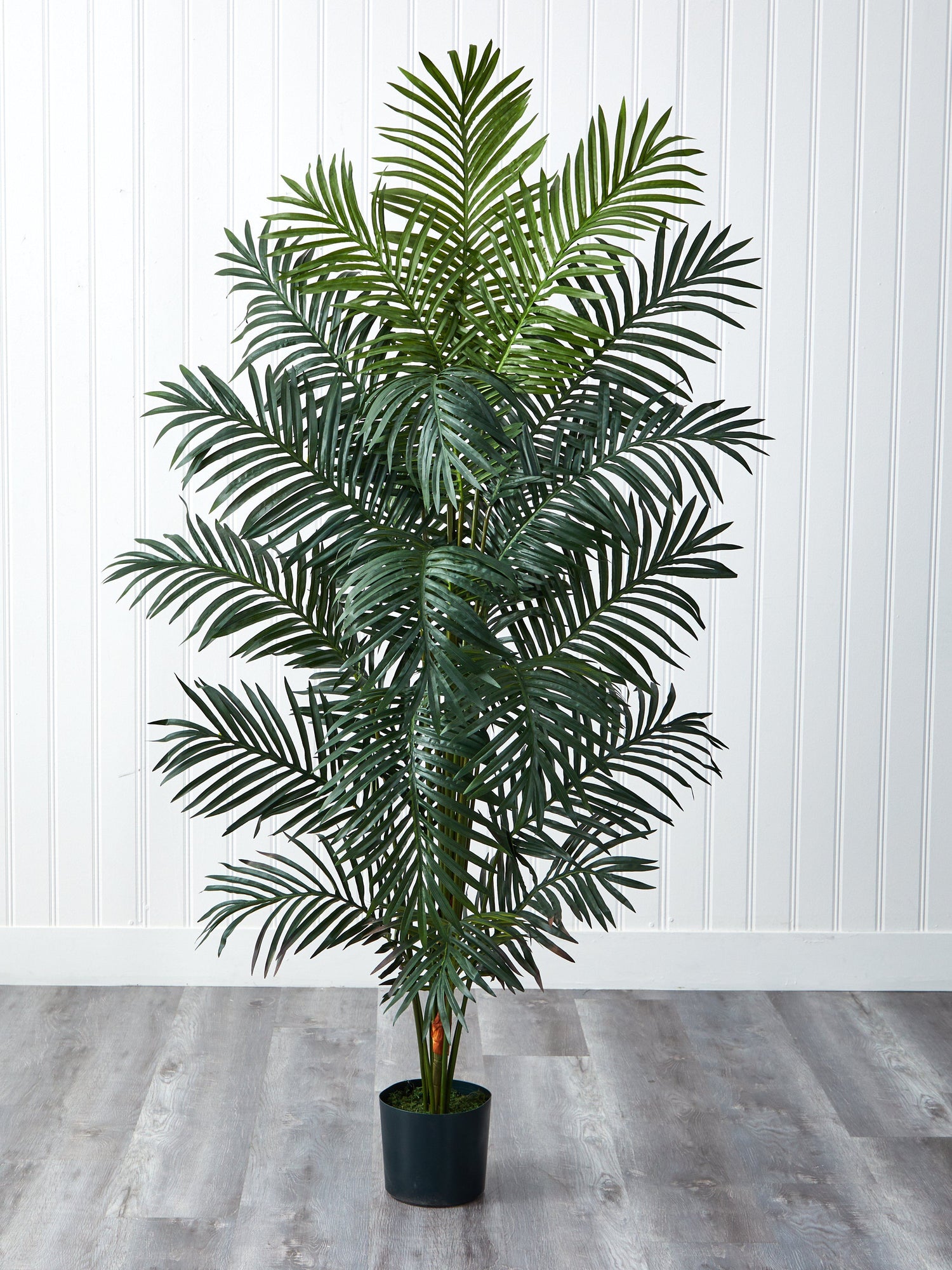 5' Faux Paradise Palm Plant + Reviews