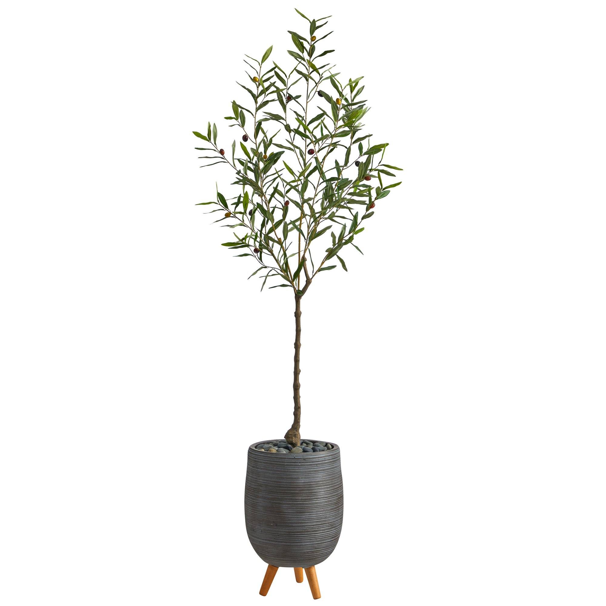 Image of 70” Olive Artificial Tree in Gray Planter with Stand