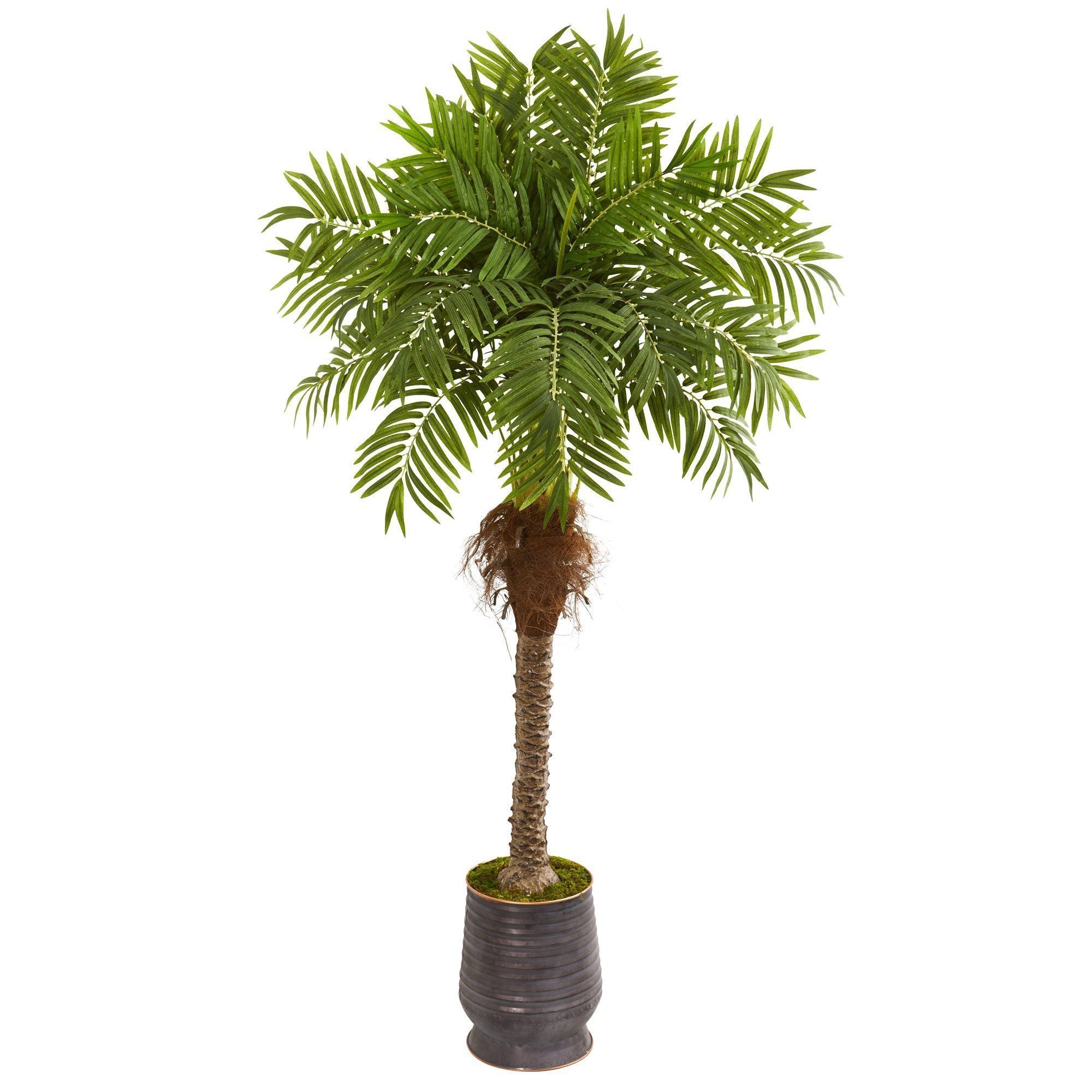  73” Robellini Palm Artificial Tree in Metal Planter 