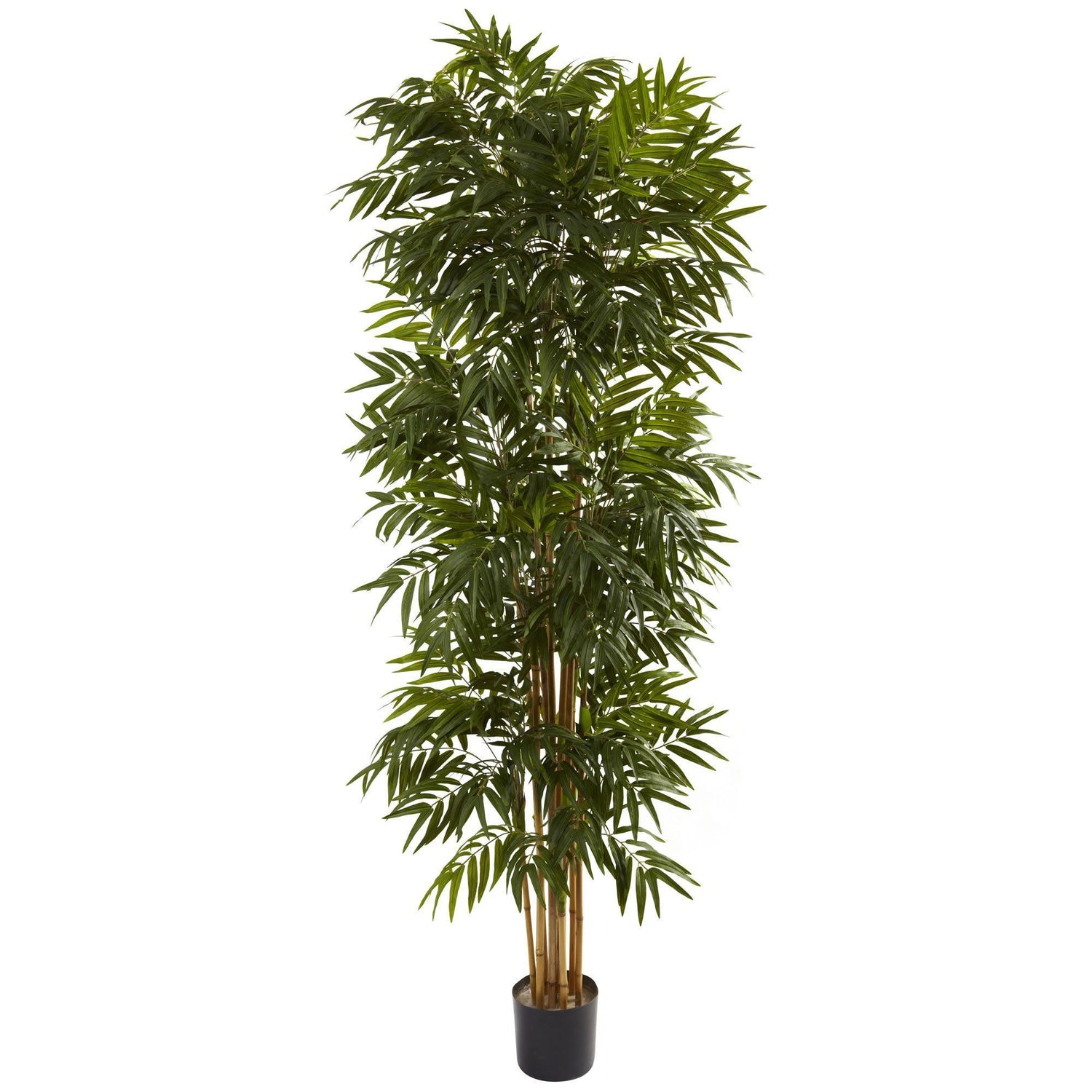 6.5-ft Ficus Tree with Slate Planter UV Resistant (Indoor Outd, 1