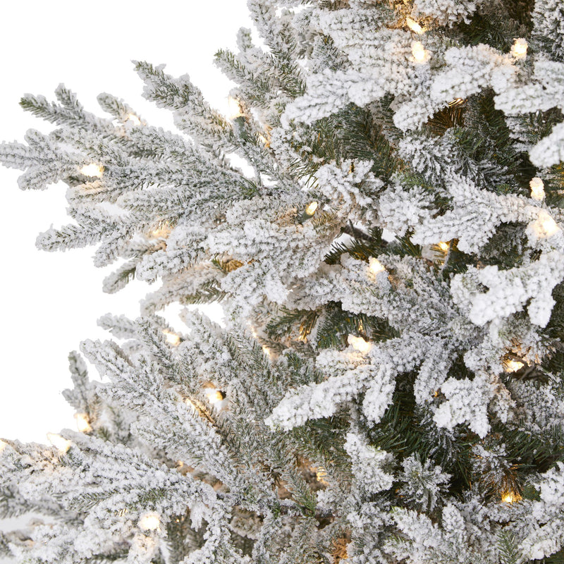 8’ Flocked Fraser Fir Artificial Christmas Tree with 800 Warm White ...