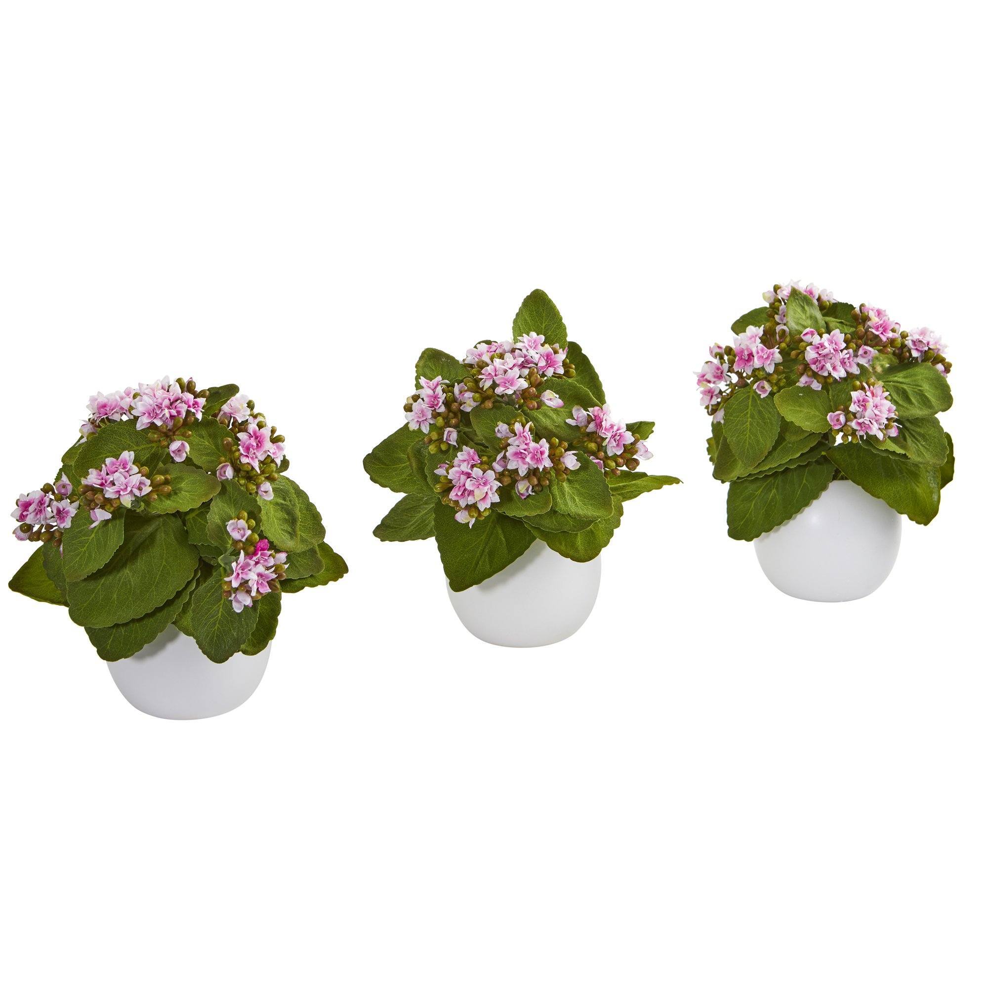  8” Kalanchoe Artificial Plant in White Vase (Set of 3) 