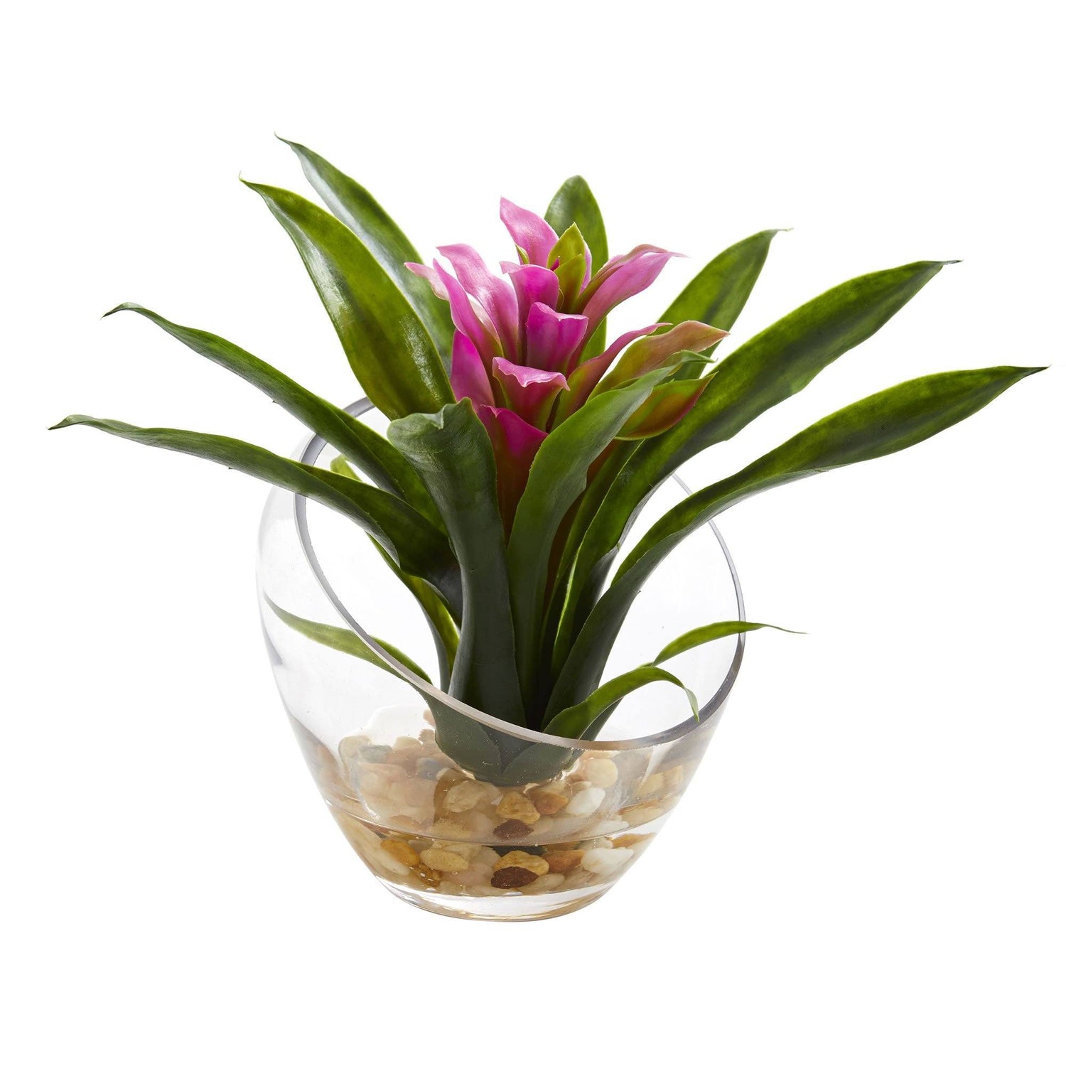 8“热带凤梨科植物的花瓶人工安排