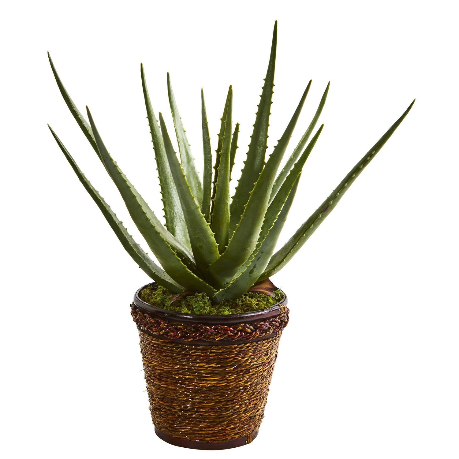 Aloe Artificial in Basket | Nearly Natural