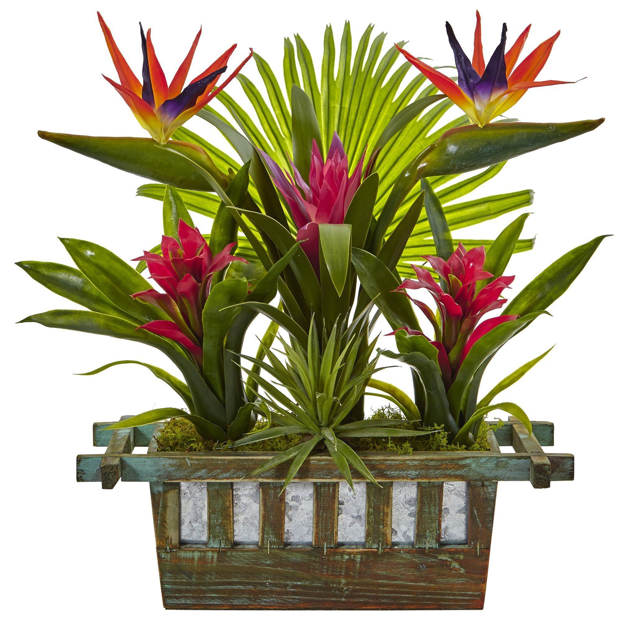  Birds of Paradise and Bromeliad in Planter 