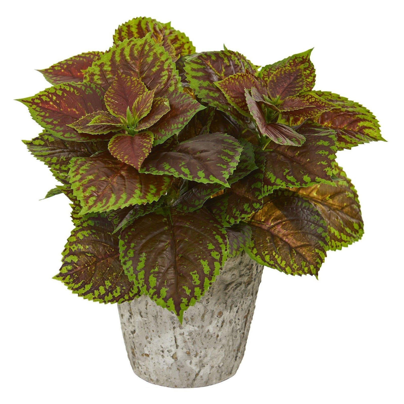 Coleus Artificial Plant in Weathered Oak Planter | Nearly Natural